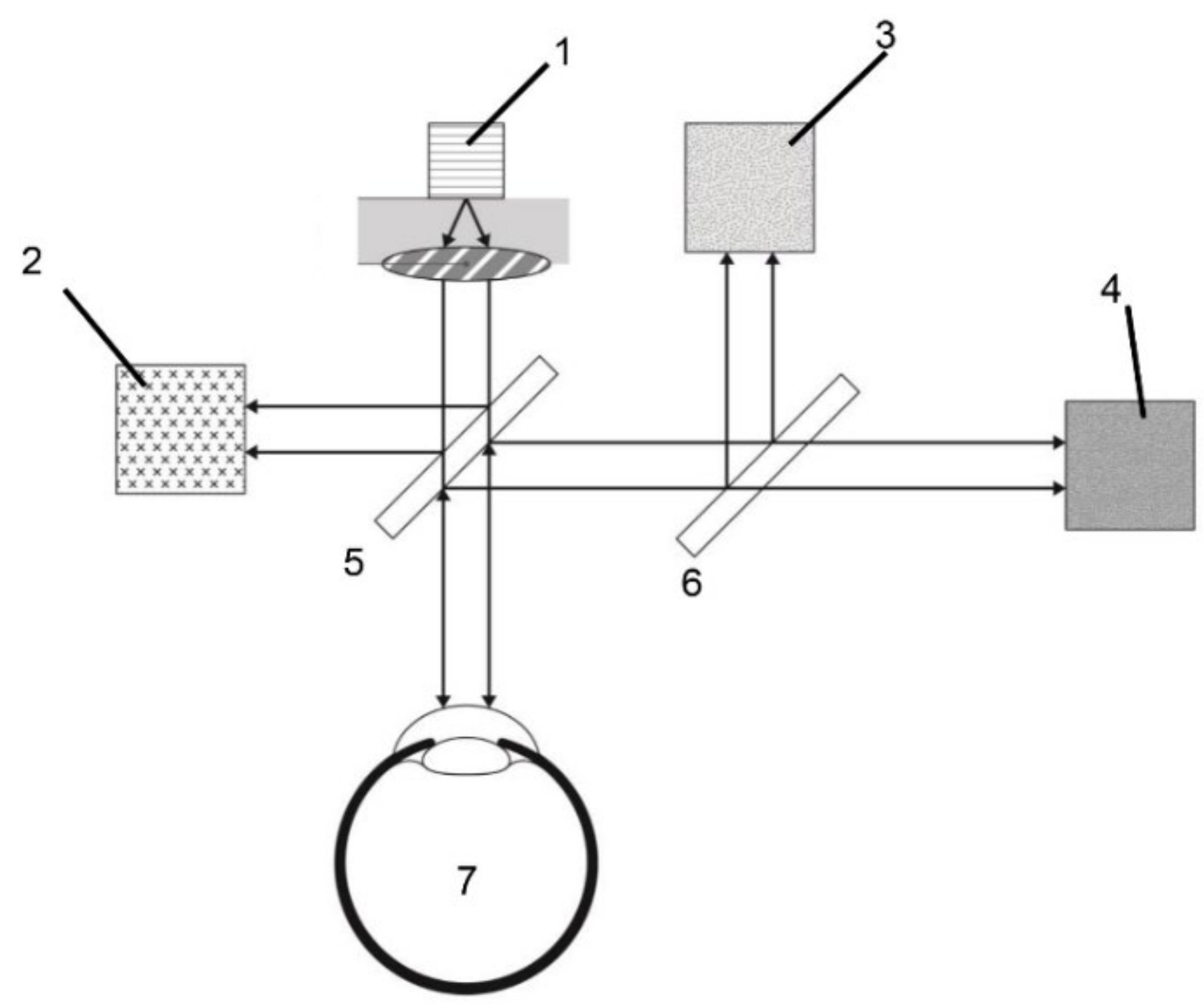 Biosensors 11 00387 g001 550
