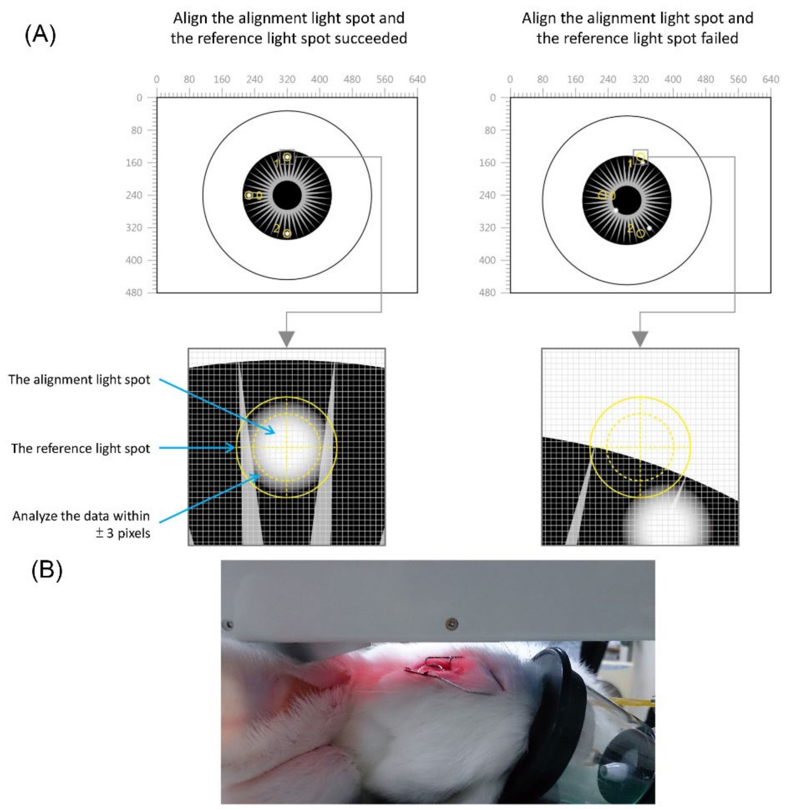 Biosensors 11 00387 g002 550