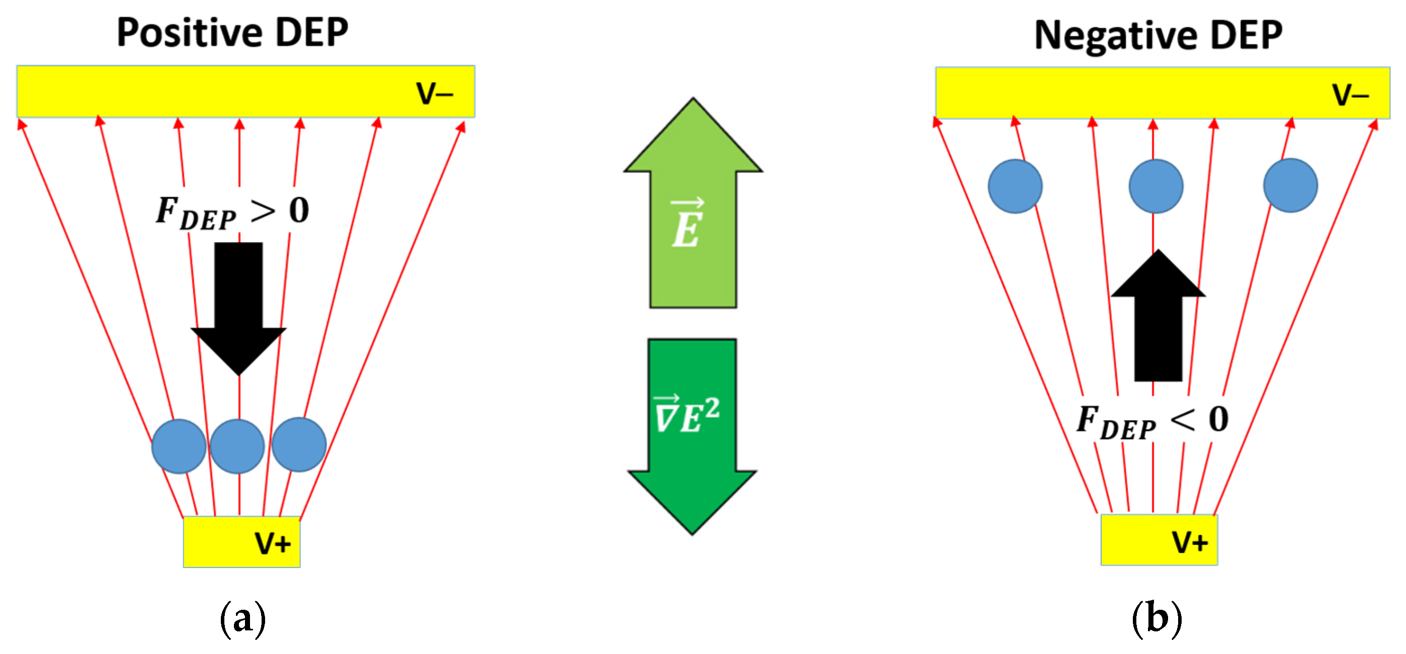 Biosensors 11 00388 g001