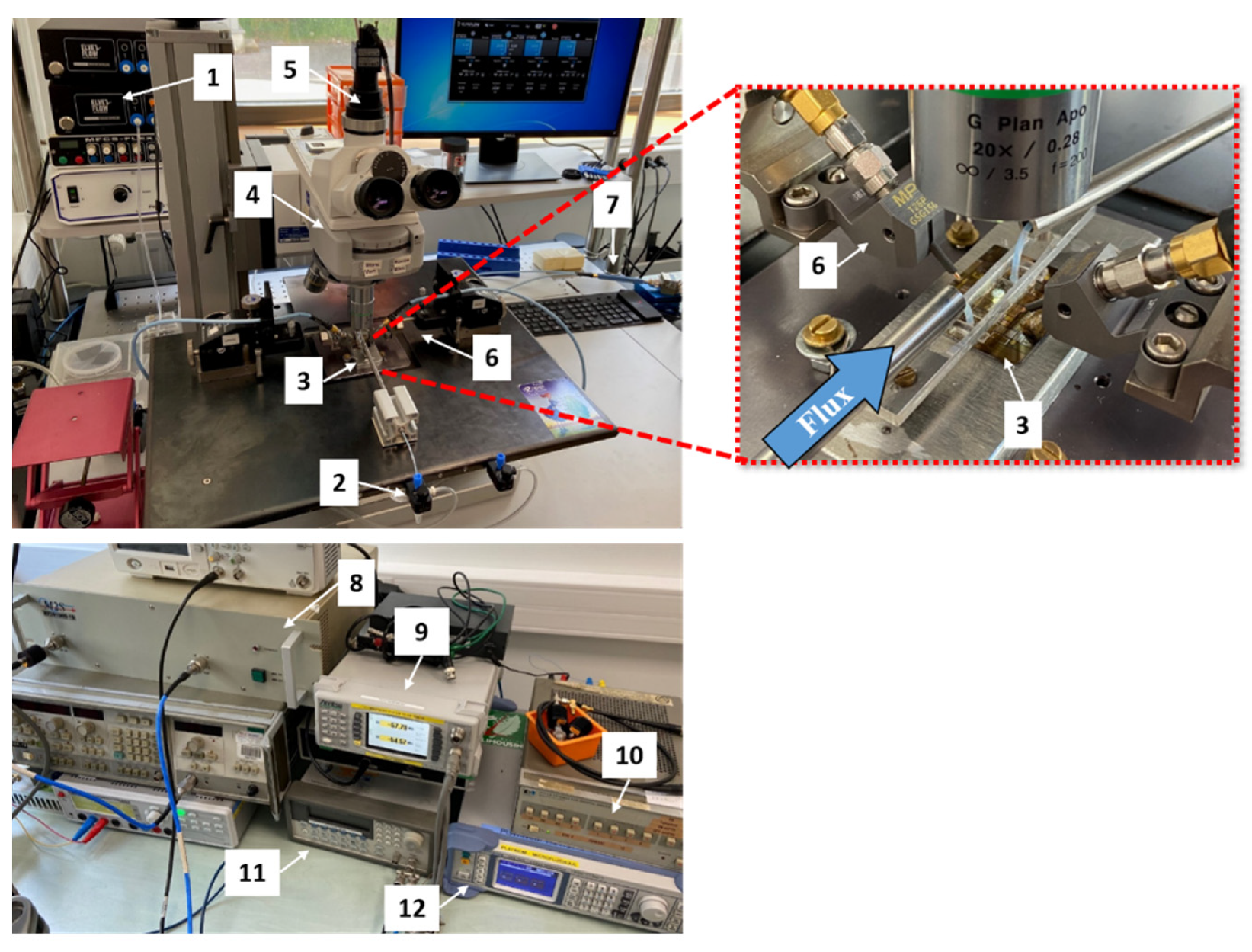 Biosensors 11 00388 g005