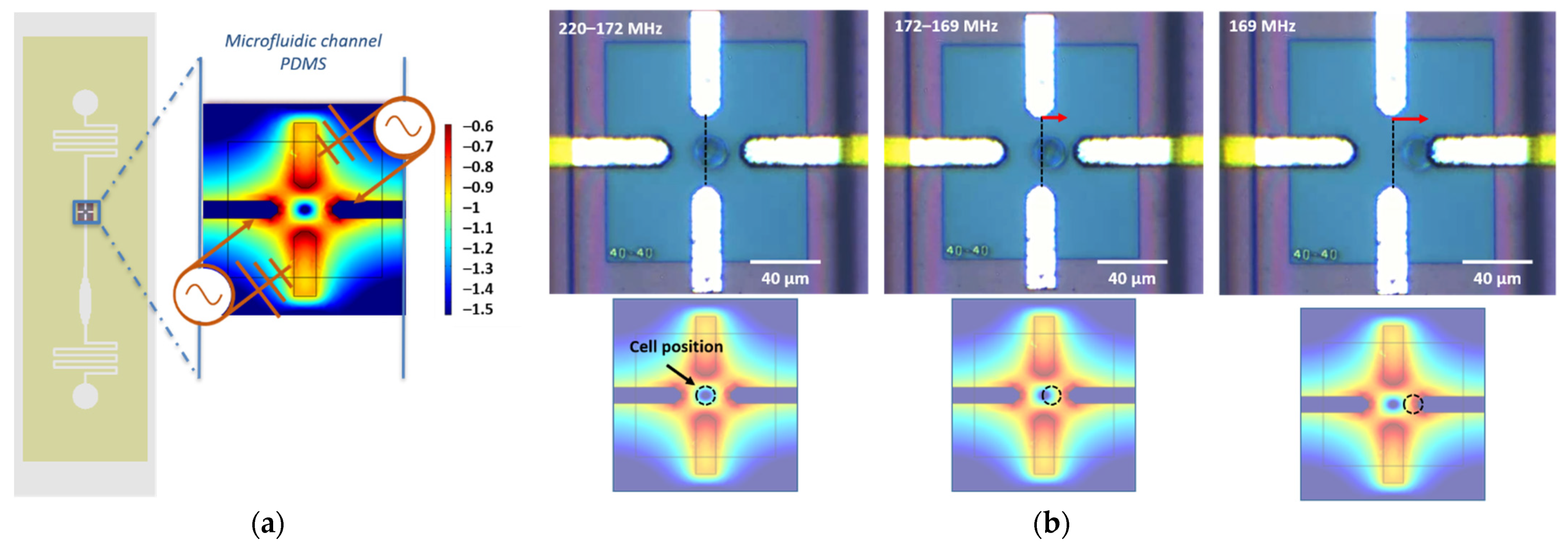 Biosensors 11 00388 g006