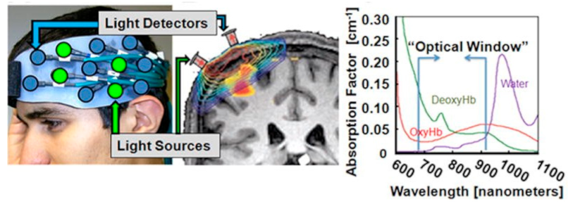 Biosensors 11 00389 g001 Biosensors 11 00389 g001