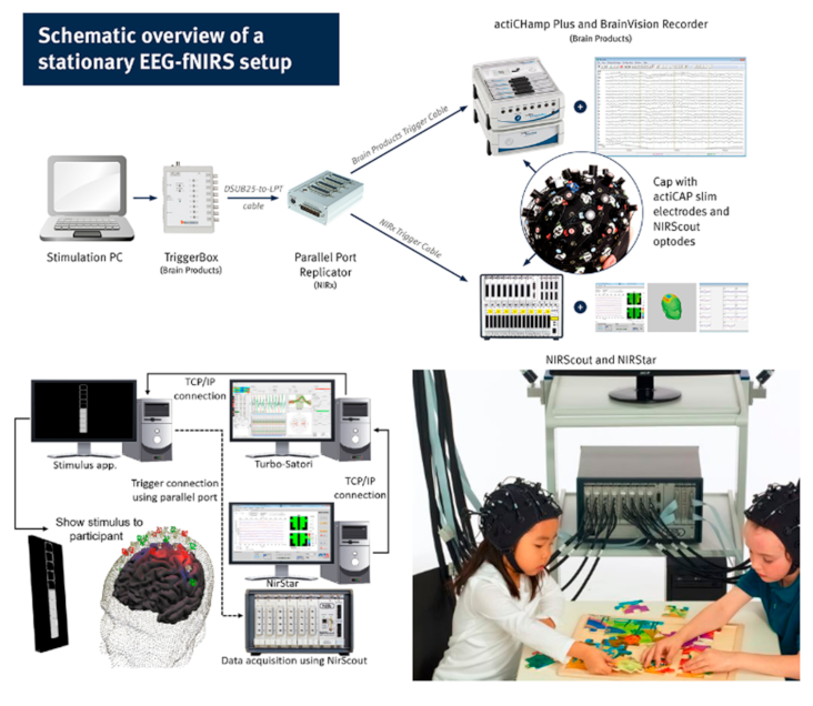 Biosensors 11 00389 g003 Biosensors 11 00389 g003