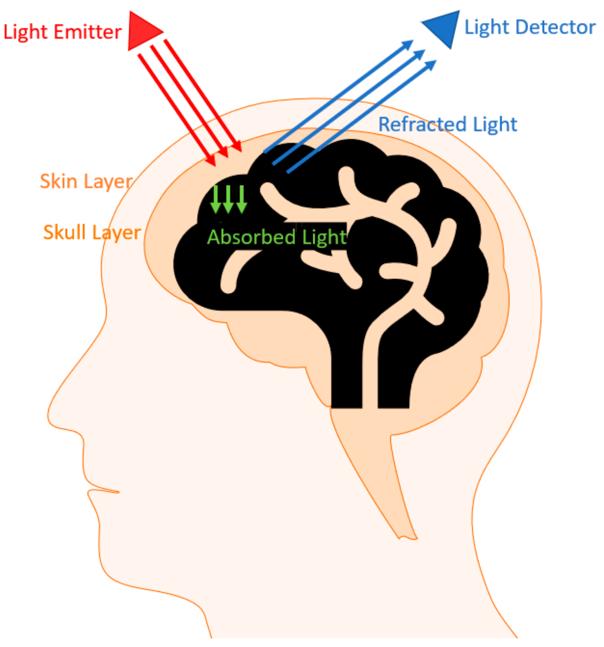 Biosensors 11 00389 g014 Biosensors 11 00389 g014