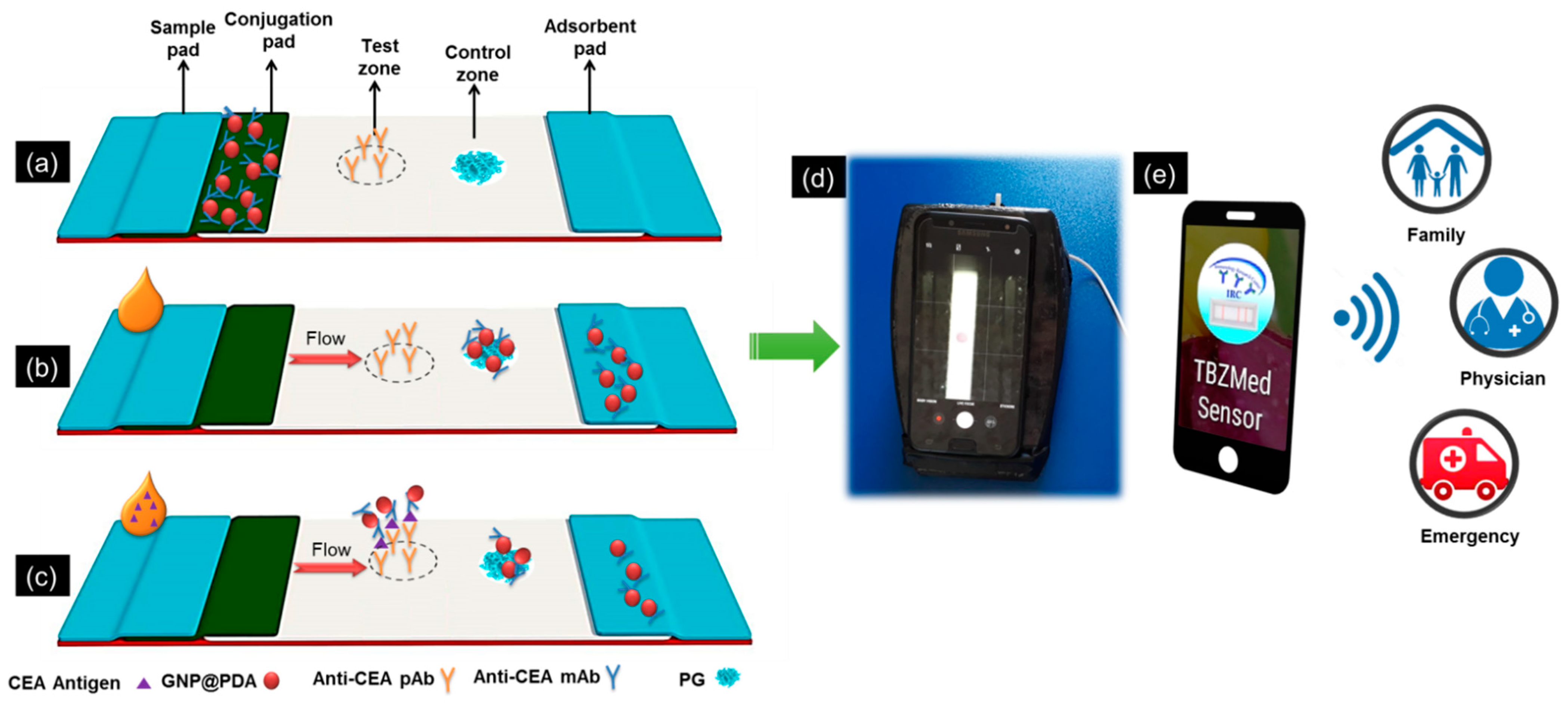 Biosensors 11 00392 sch001 550