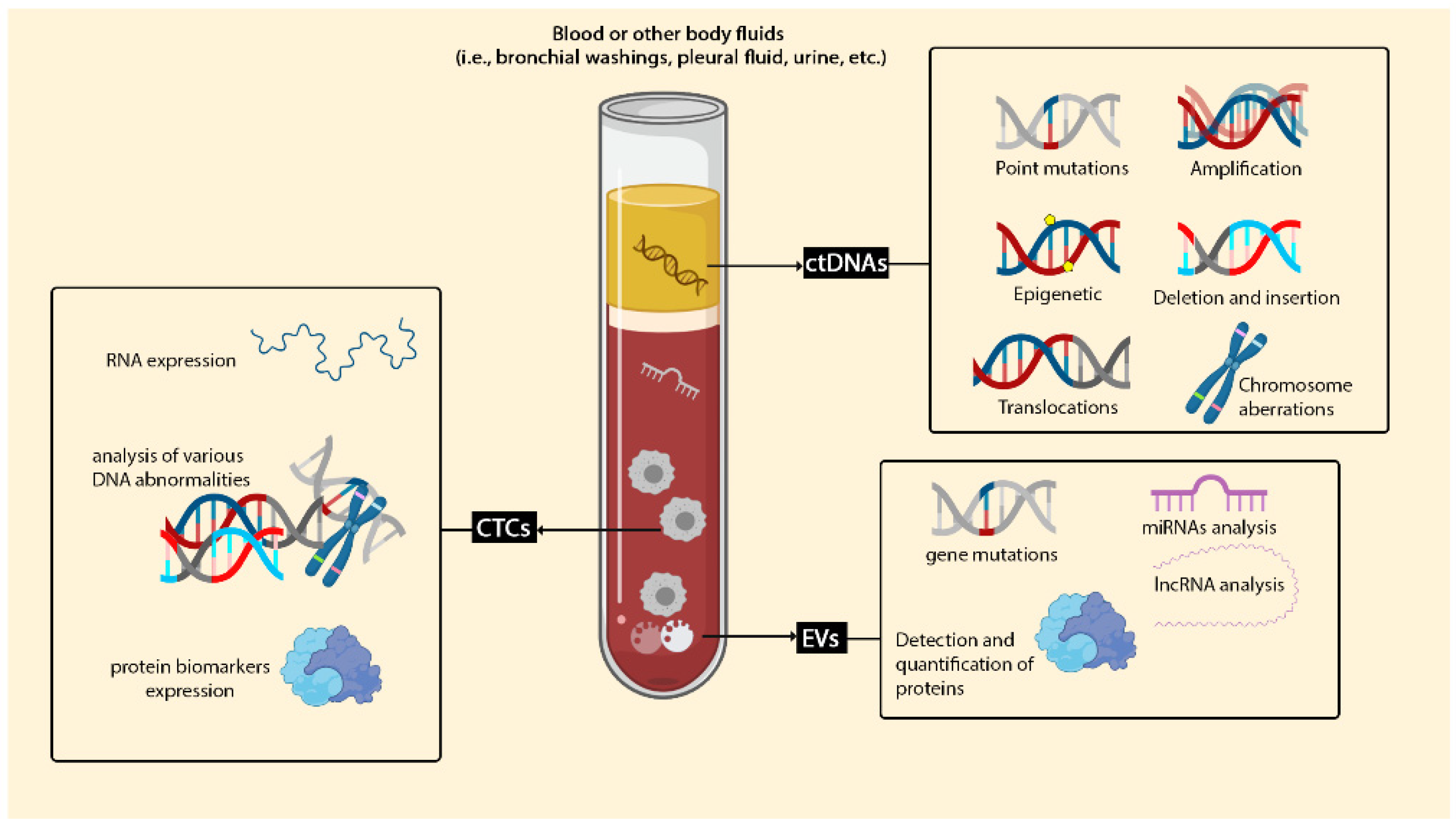 Biosensors 11 00394 g002 550