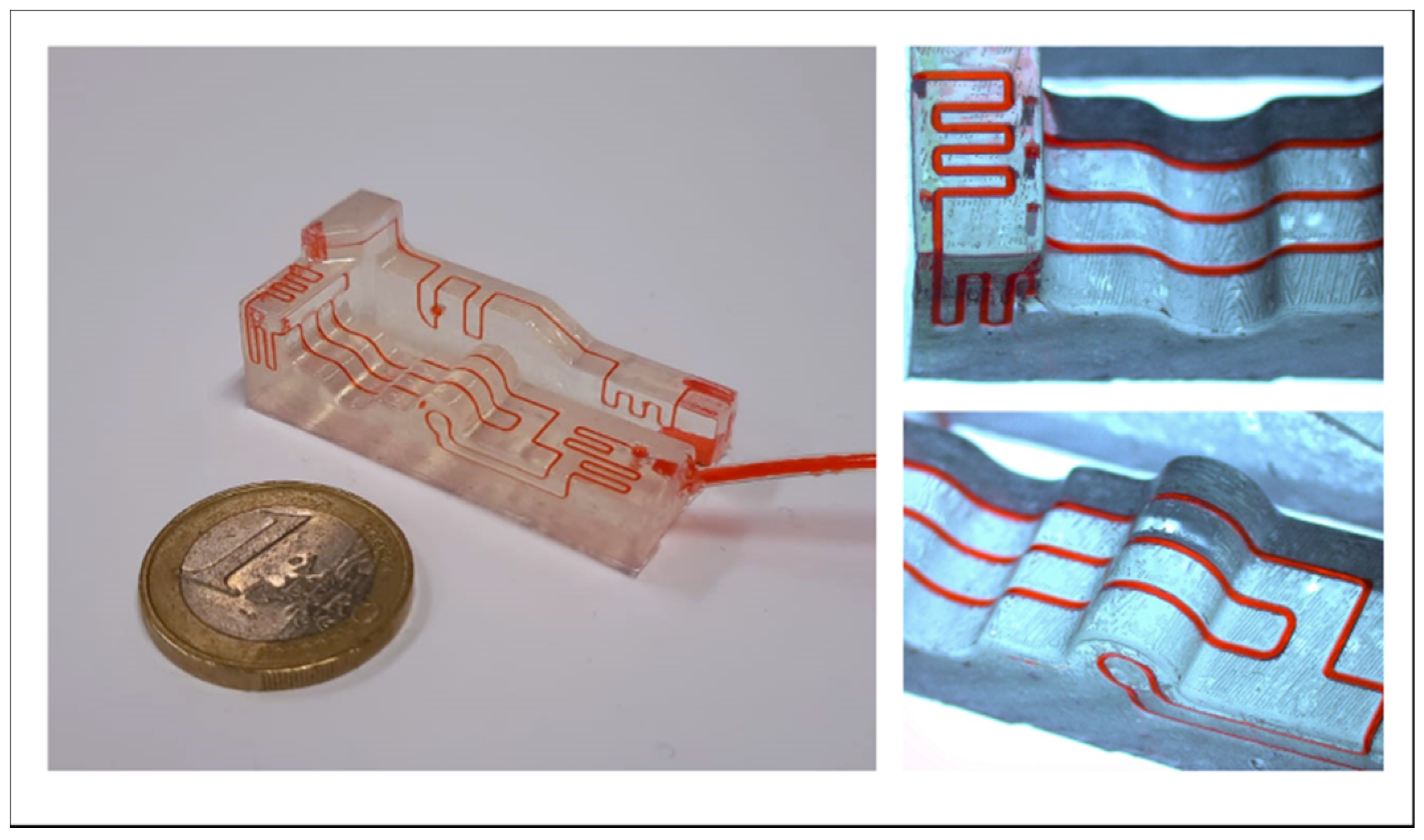 Biosensors 11 00395 g002