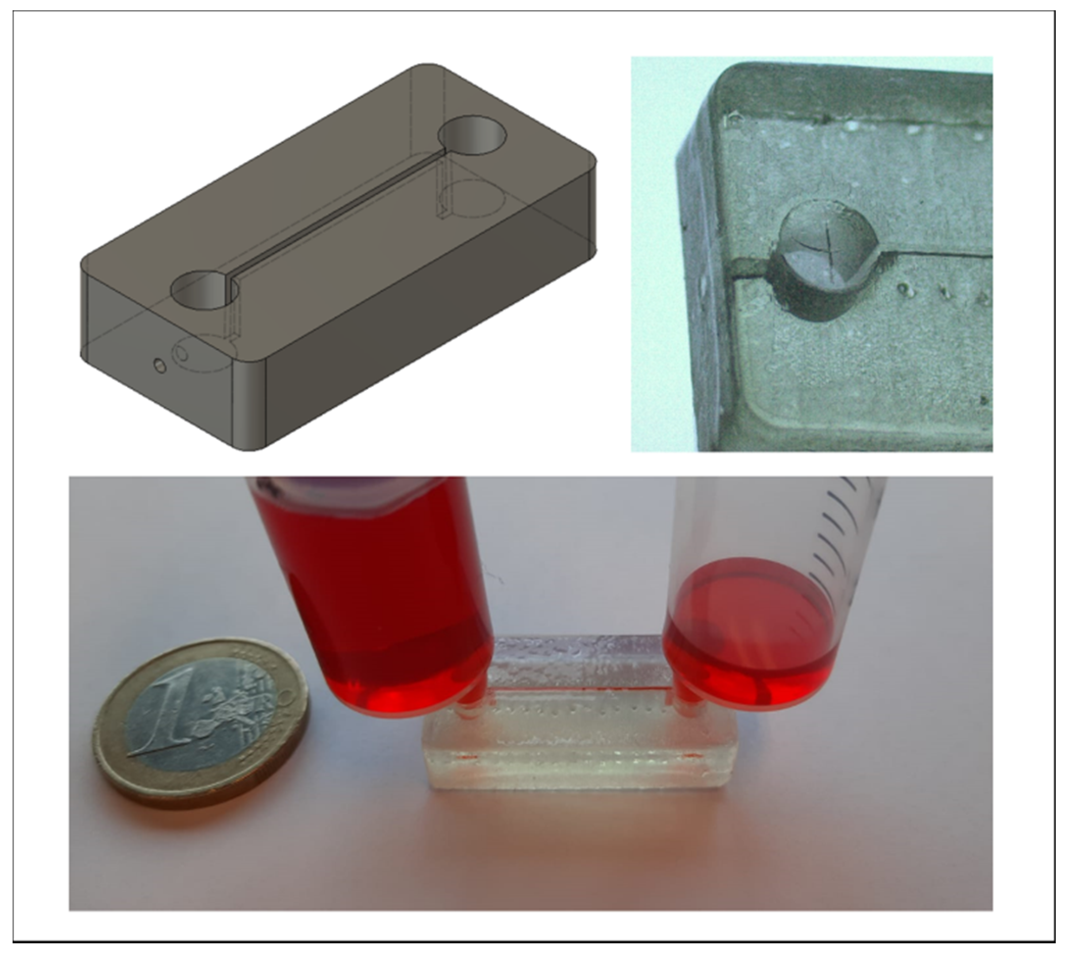 Biosensors 11 00395 g011