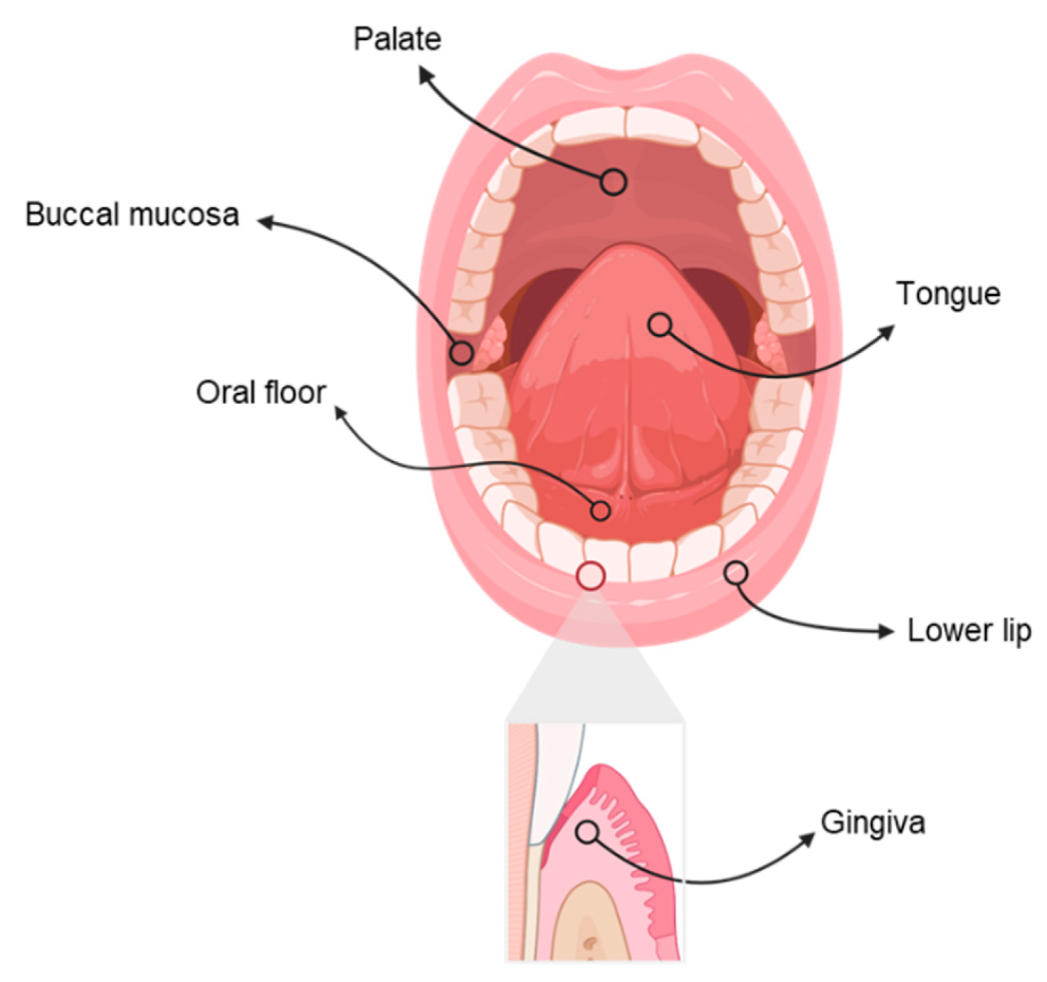 Biosensors 11 00396 g002 550