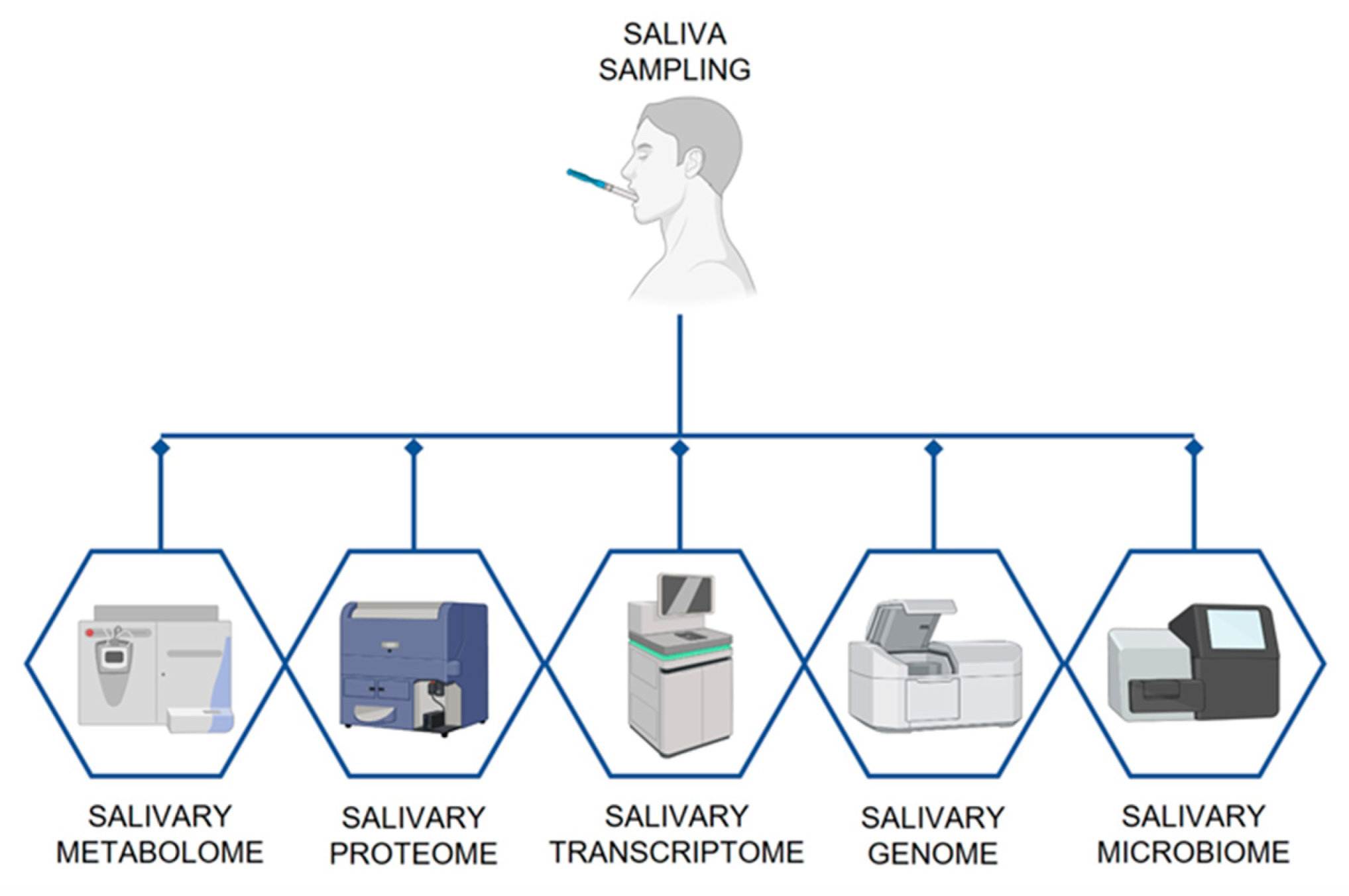 Biosensors 11 00396 g003 550