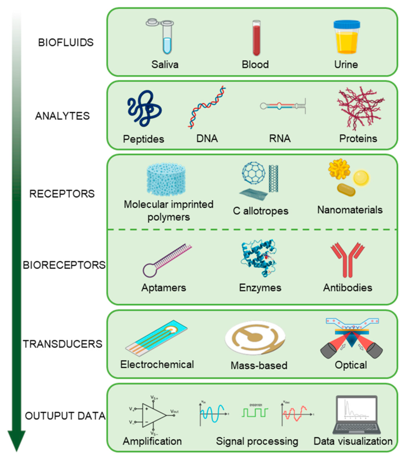 Biosensors 11 00396 g004 550