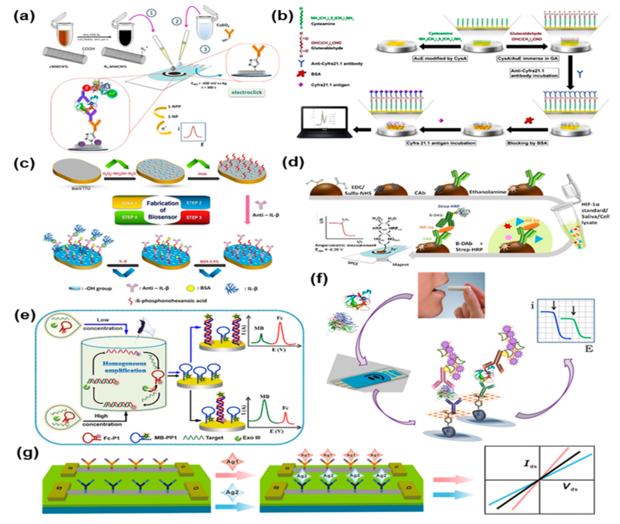Biosensors 11 00396 g006 550
