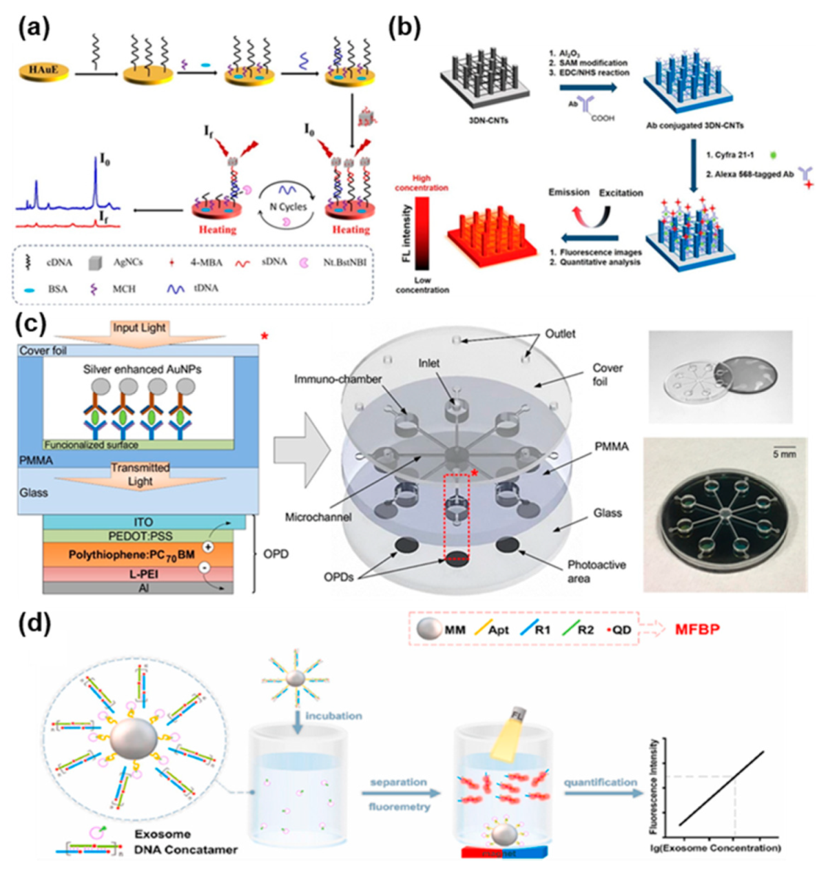 Biosensors 11 00396 g007 550