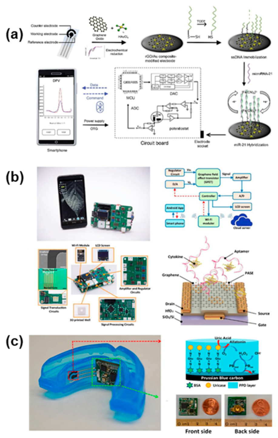 Biosensors 11 00396 g008 550
