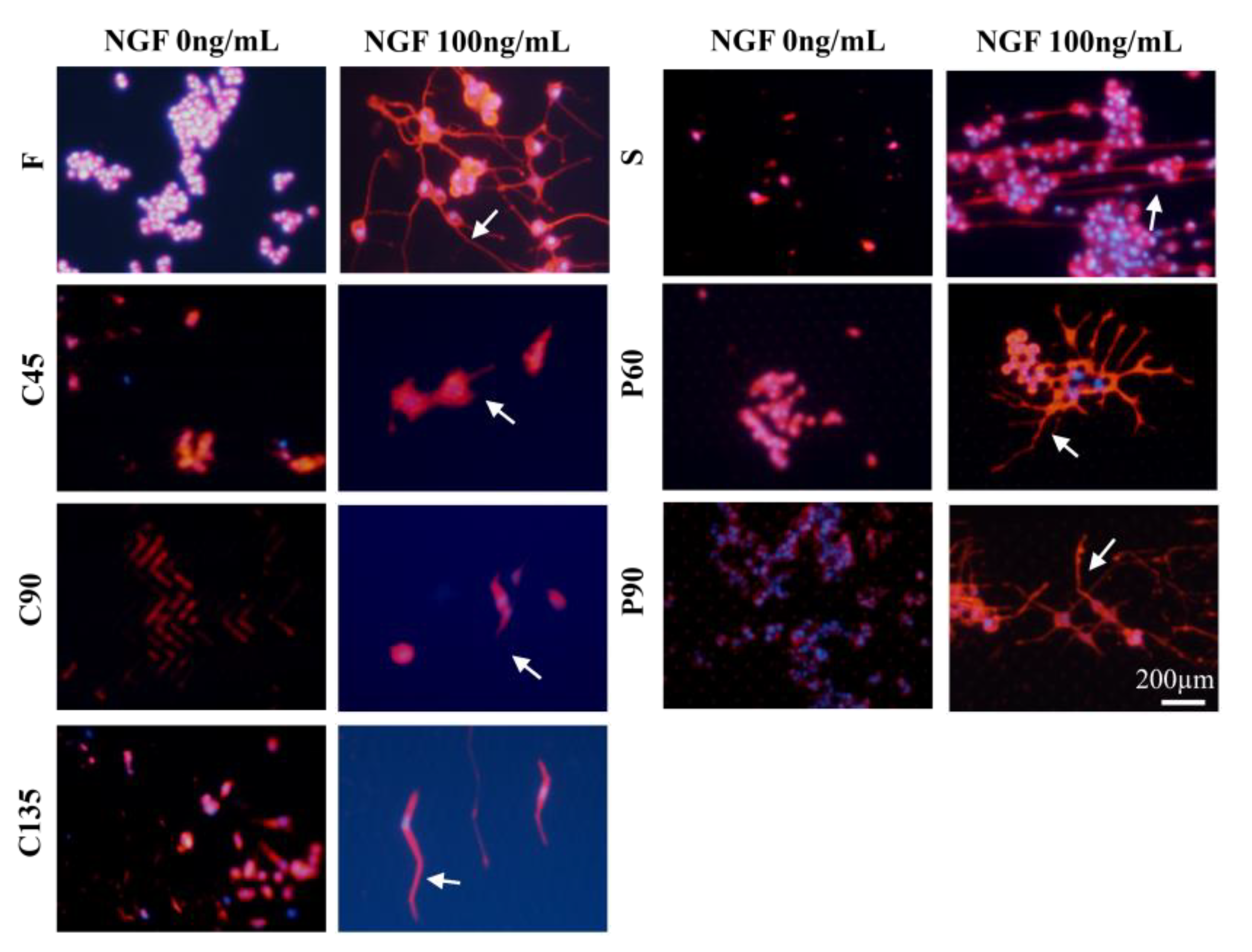 Biosensors 11 00399 g003