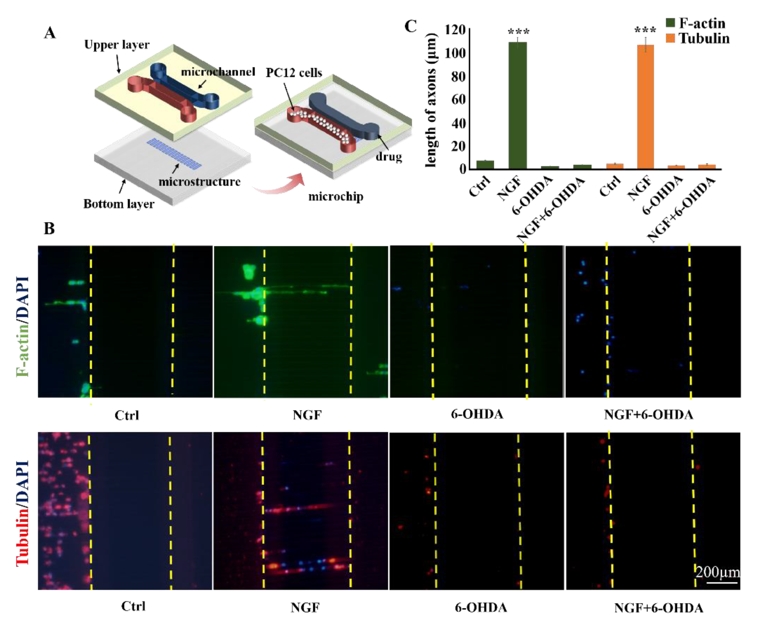 Biosensors 11 00399 g007