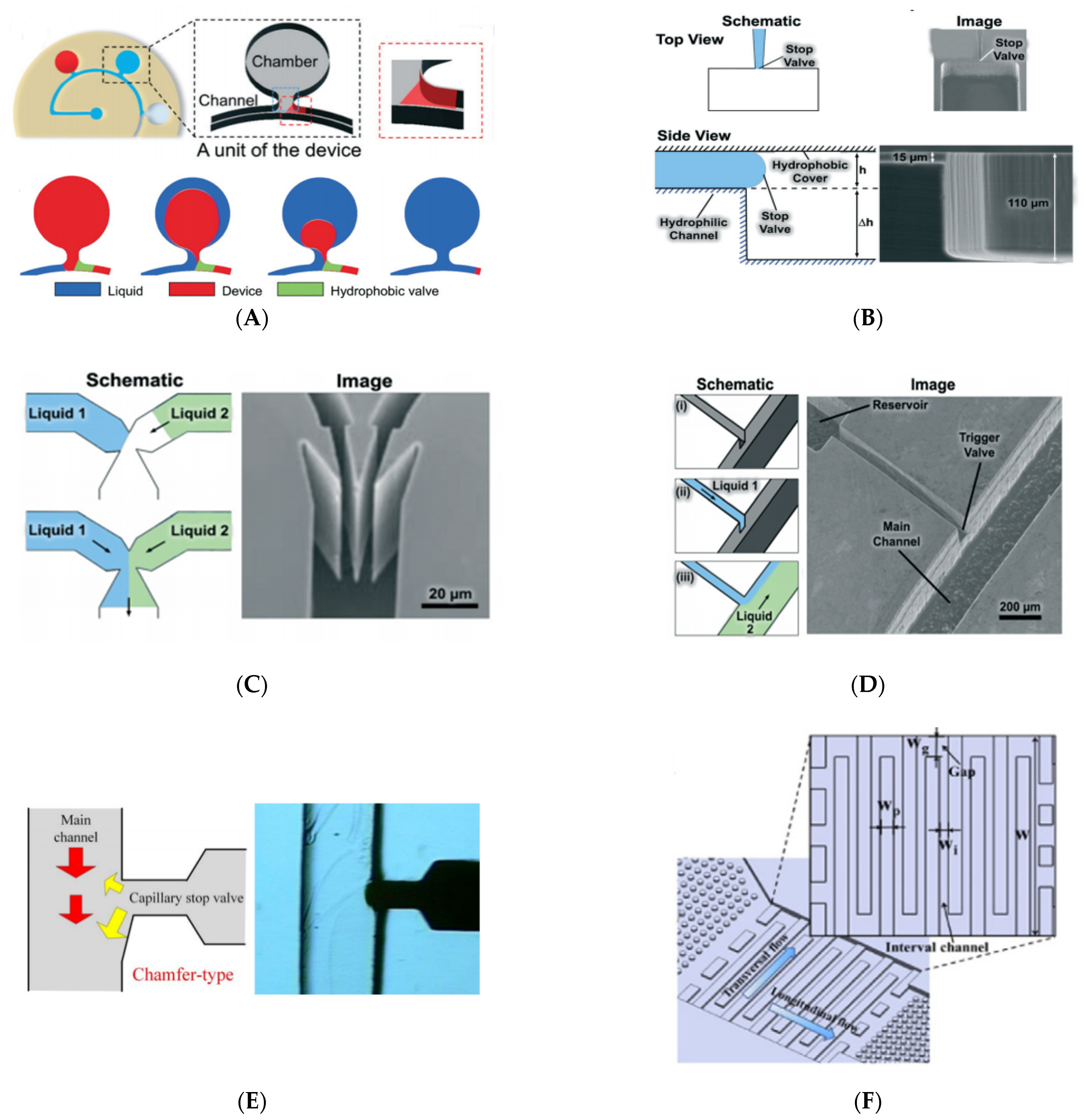 Biosensors 11 00405 g003 Biosensors 11 00405 g003