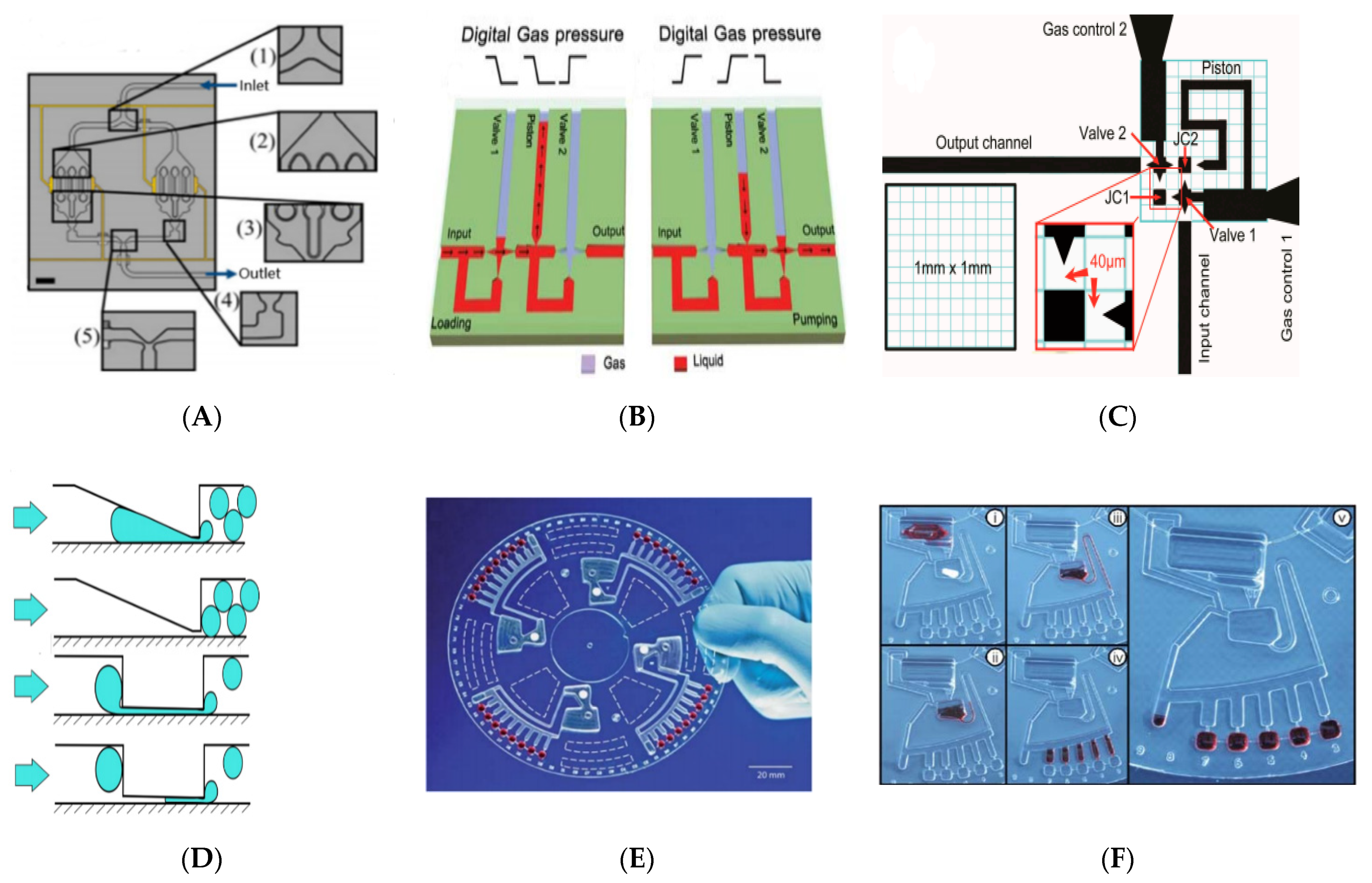 Biosensors 11 00405 g004 Biosensors 11 00405 g004