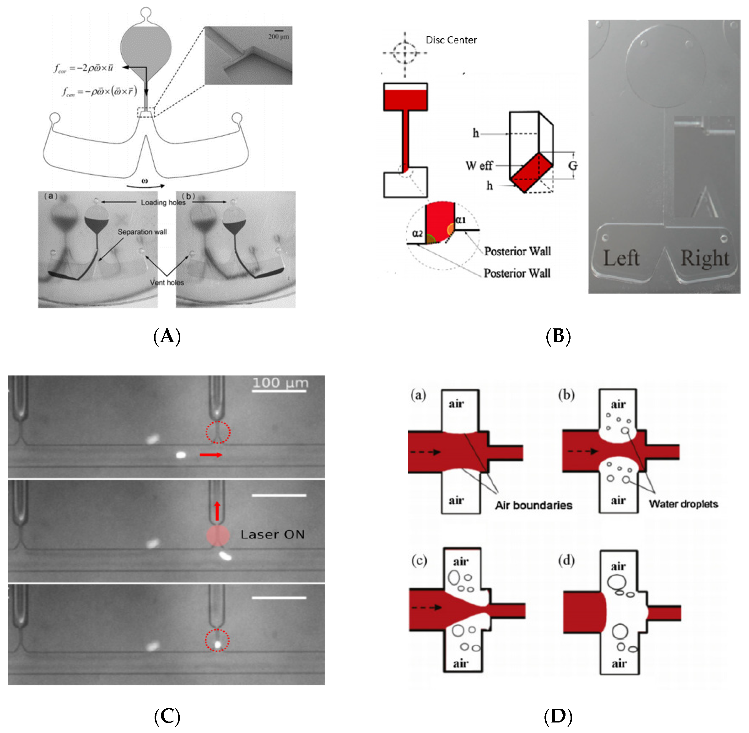 Biosensors 11 00405 g005 Biosensors 11 00405 g005