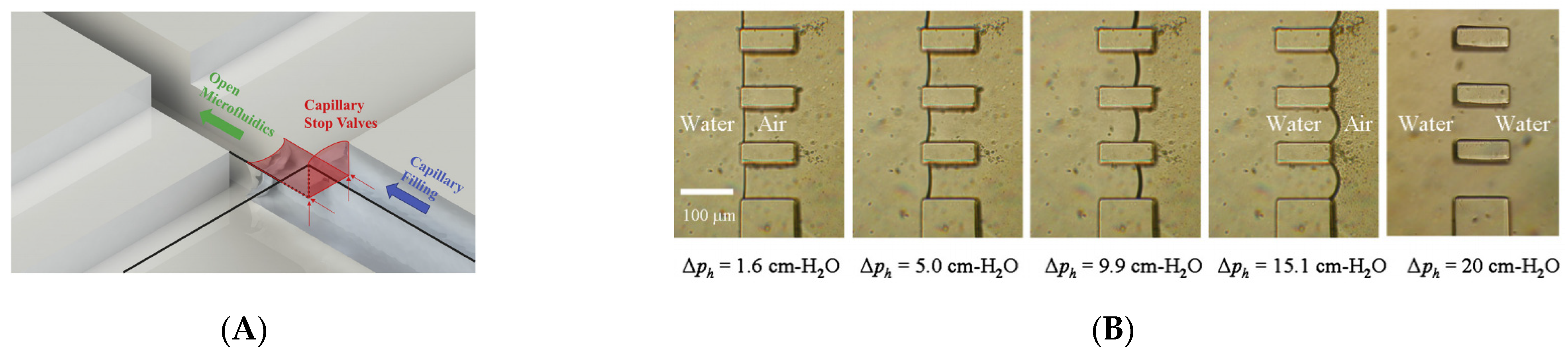 Biosensors 11 00405 g006 Biosensors 11 00405 g006