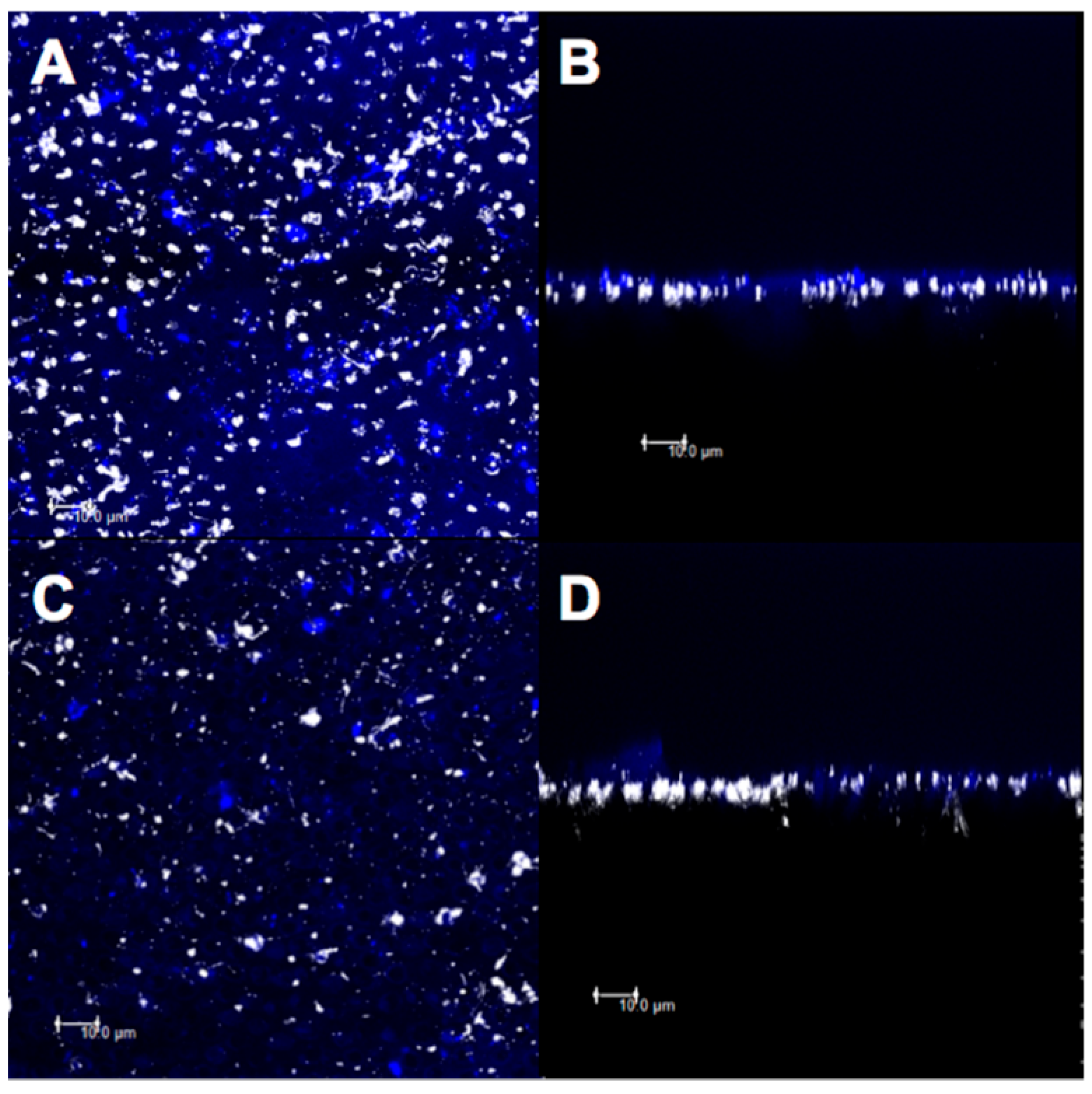 Biosensors 11 00408 g003 Biosensors 11 00408 g003