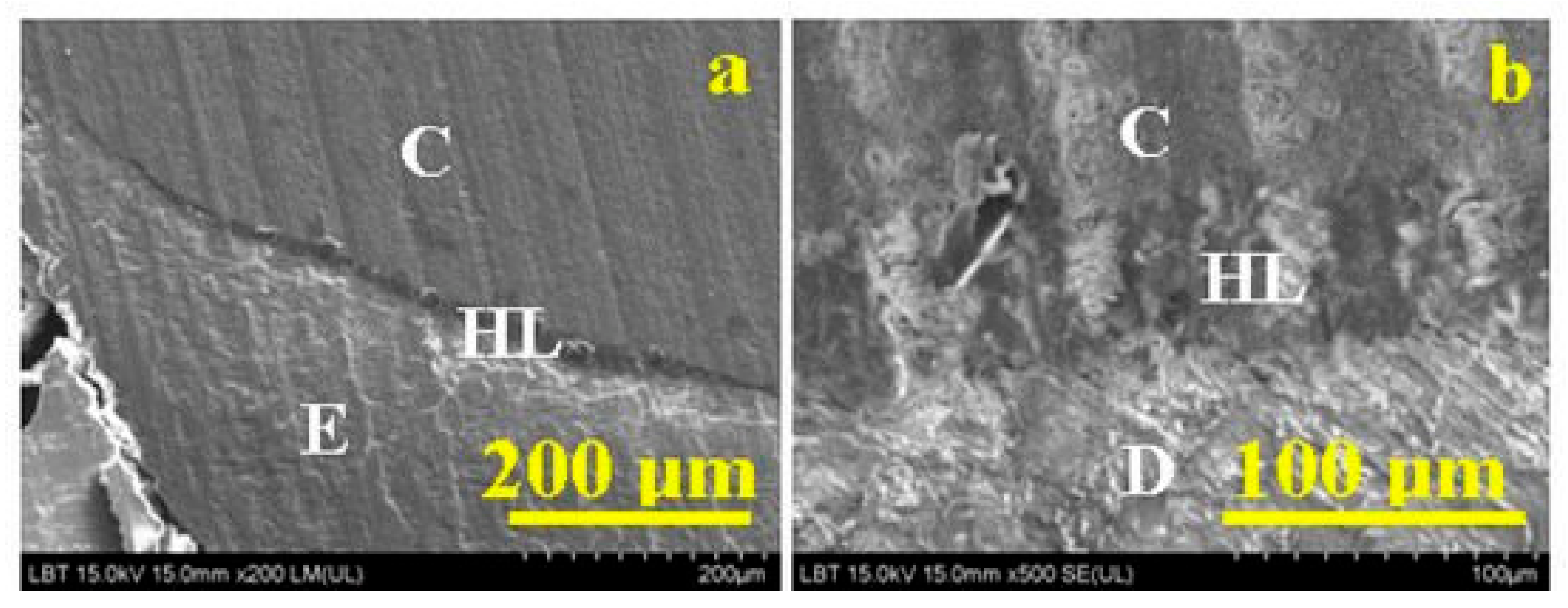 Biosensors 11 00408 g007 Biosensors 11 00408 g007