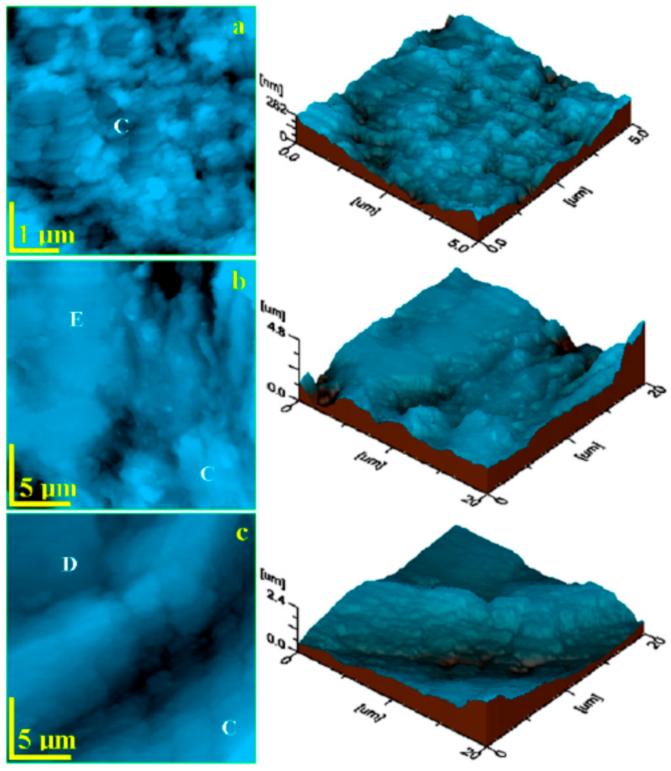 Biosensors 11 00408 g010 Biosensors 11 00408 g010