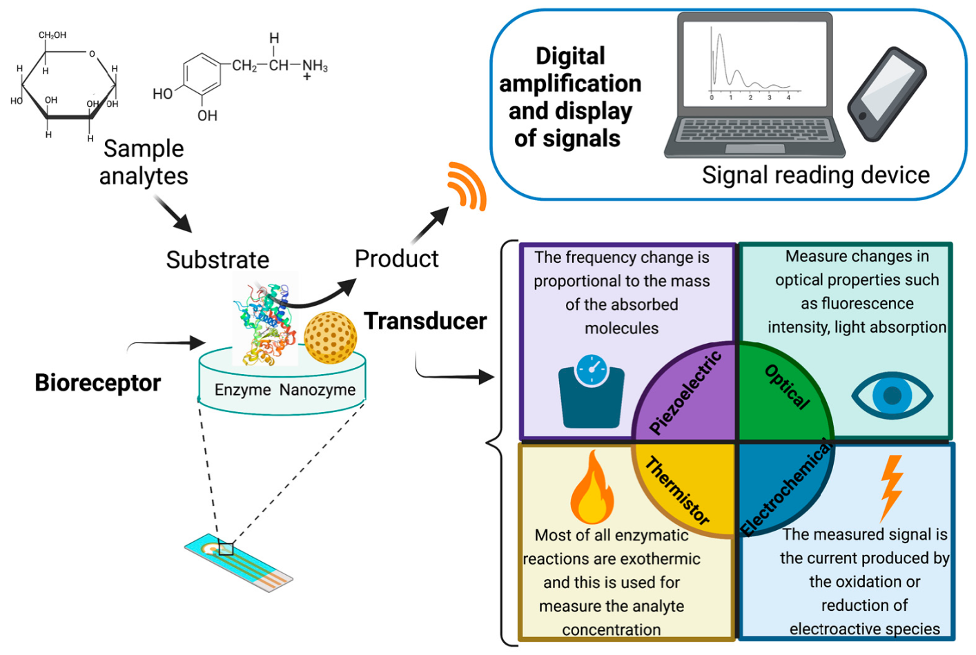 Biosensors 11 00410 g001 550