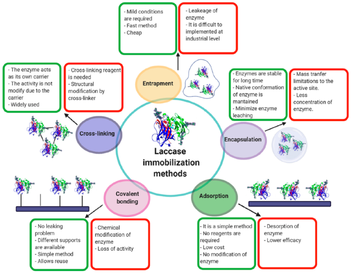 Biosensors 11 00410 g002 550