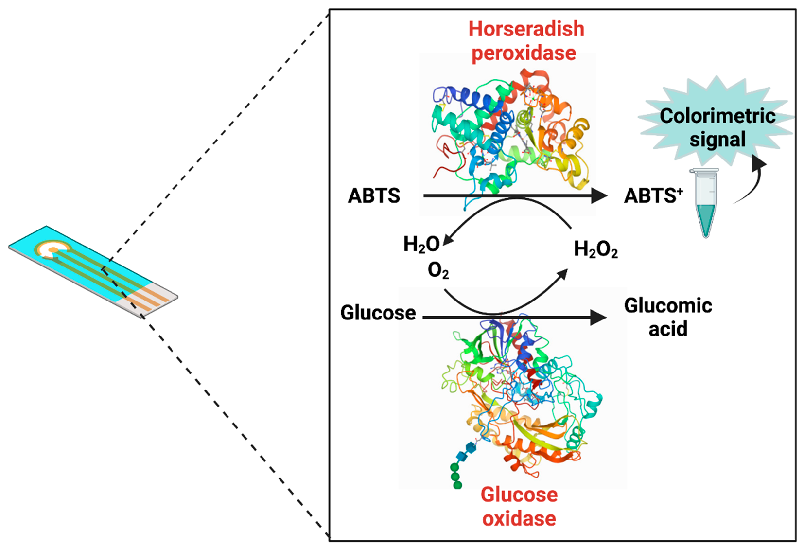 Biosensors 11 00410 g004 550
