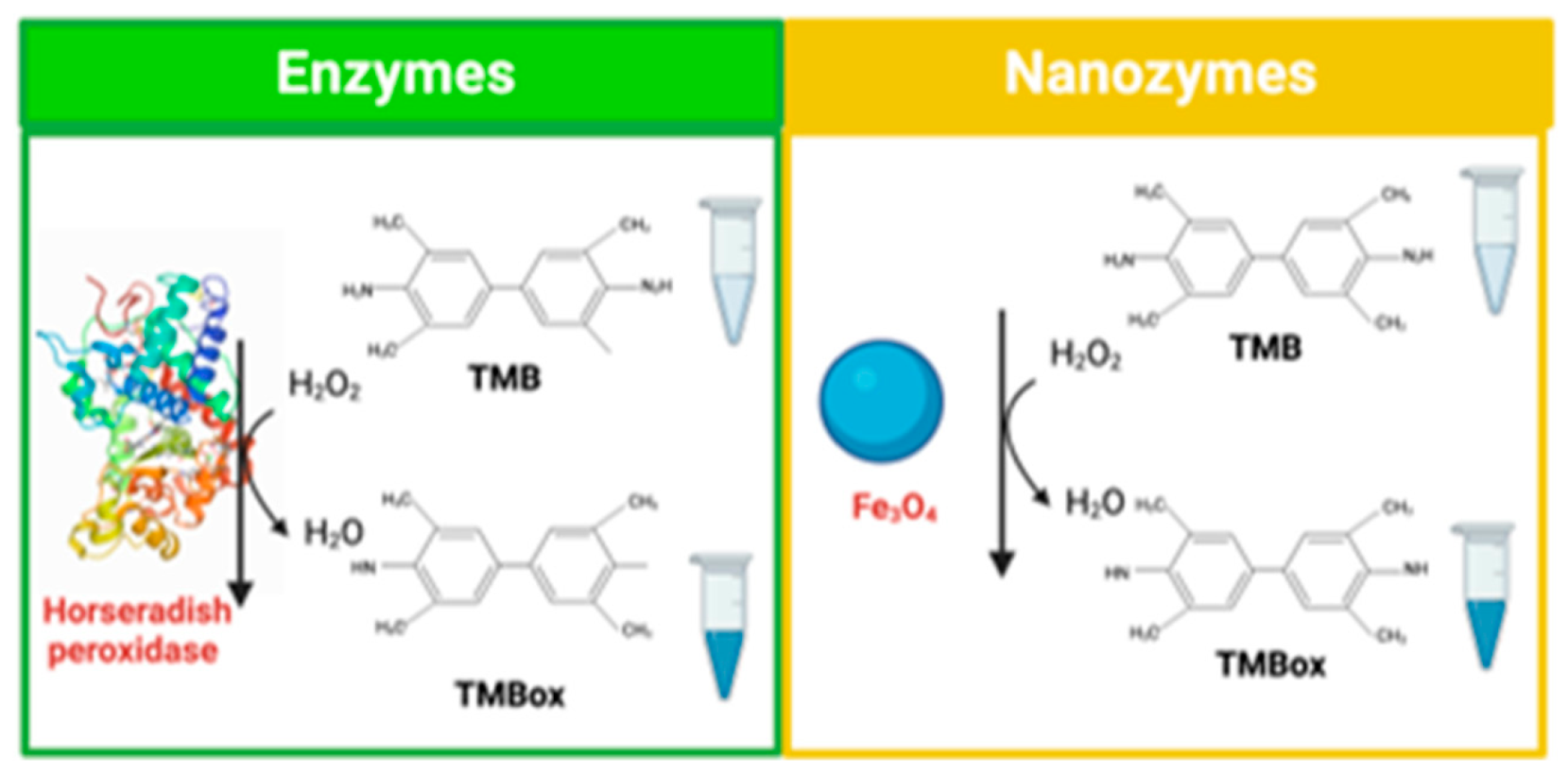Biosensors 11 00410 g005 550