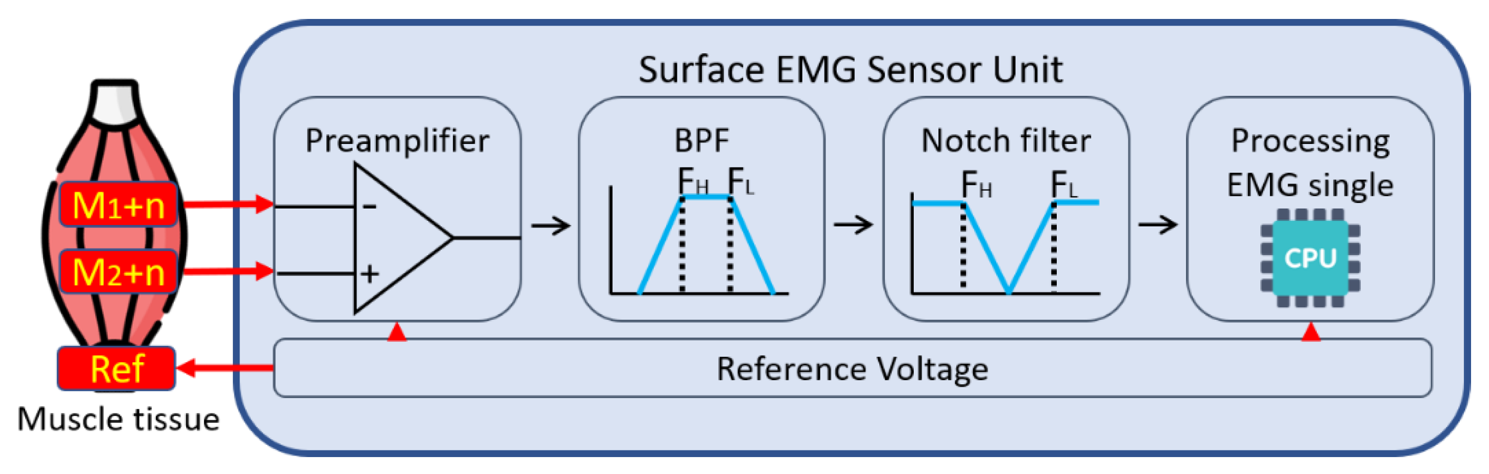 Biosensors 11 00411 g002