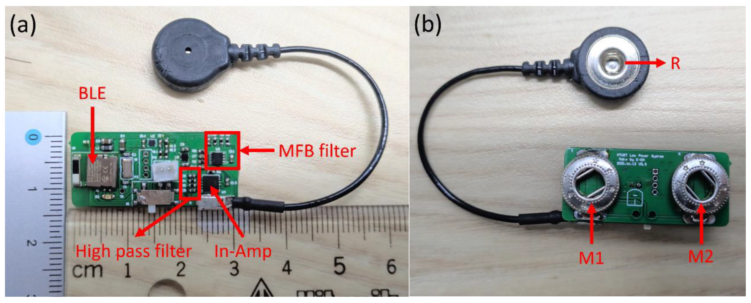 Biosensors 11 00411 g013