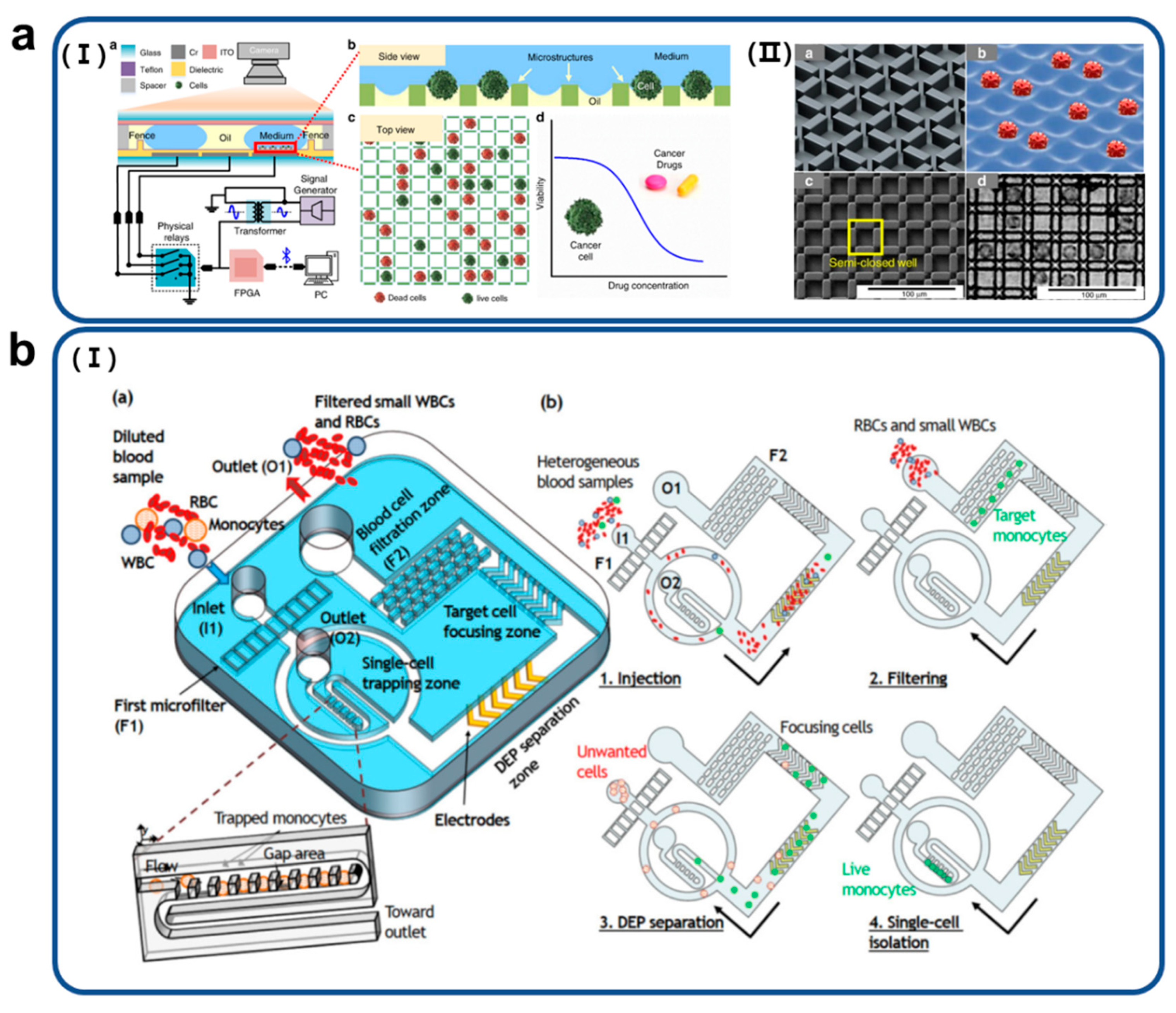 Biosensors 11 00412 g003