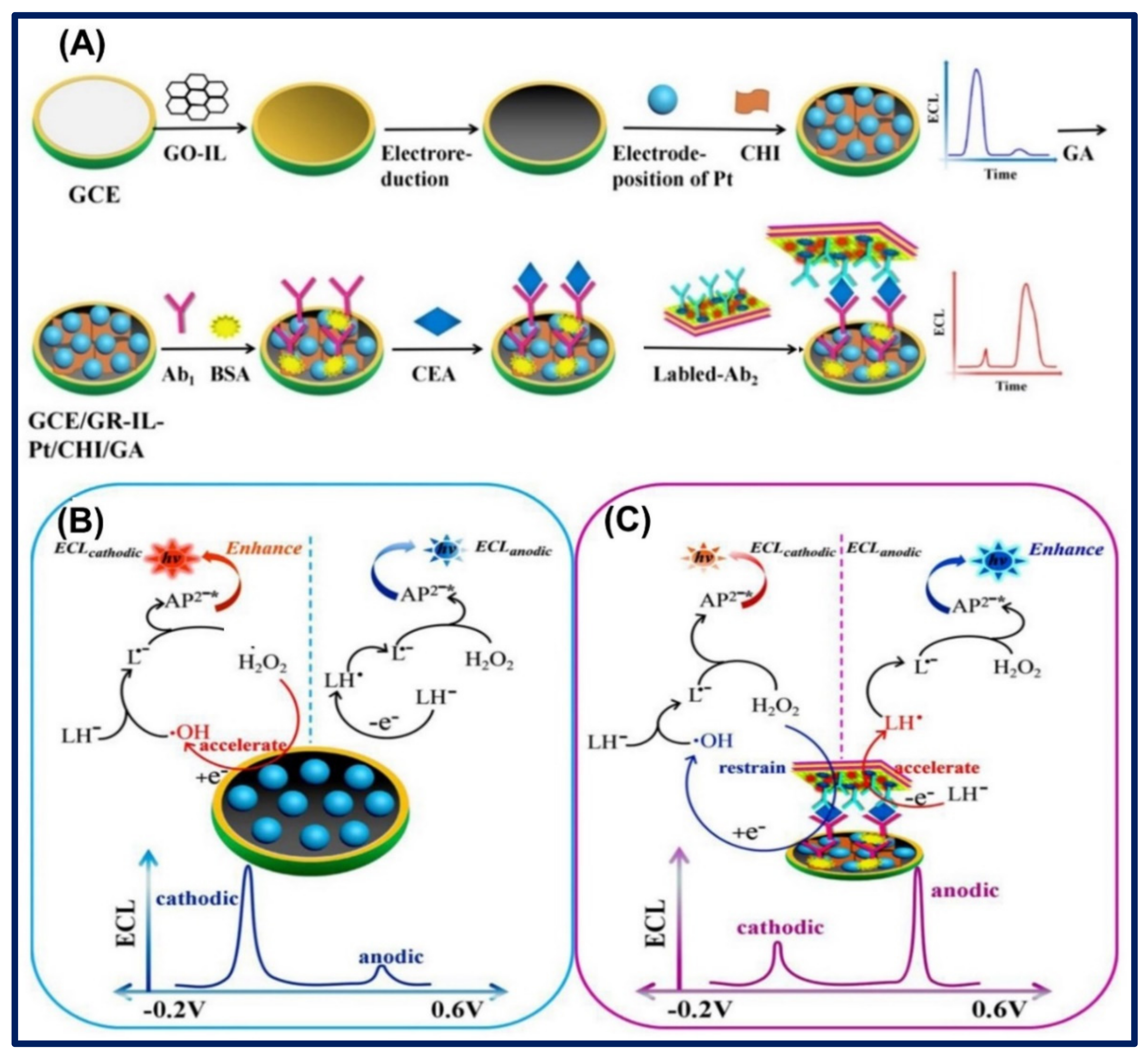 Biosensors 11 00414 g012