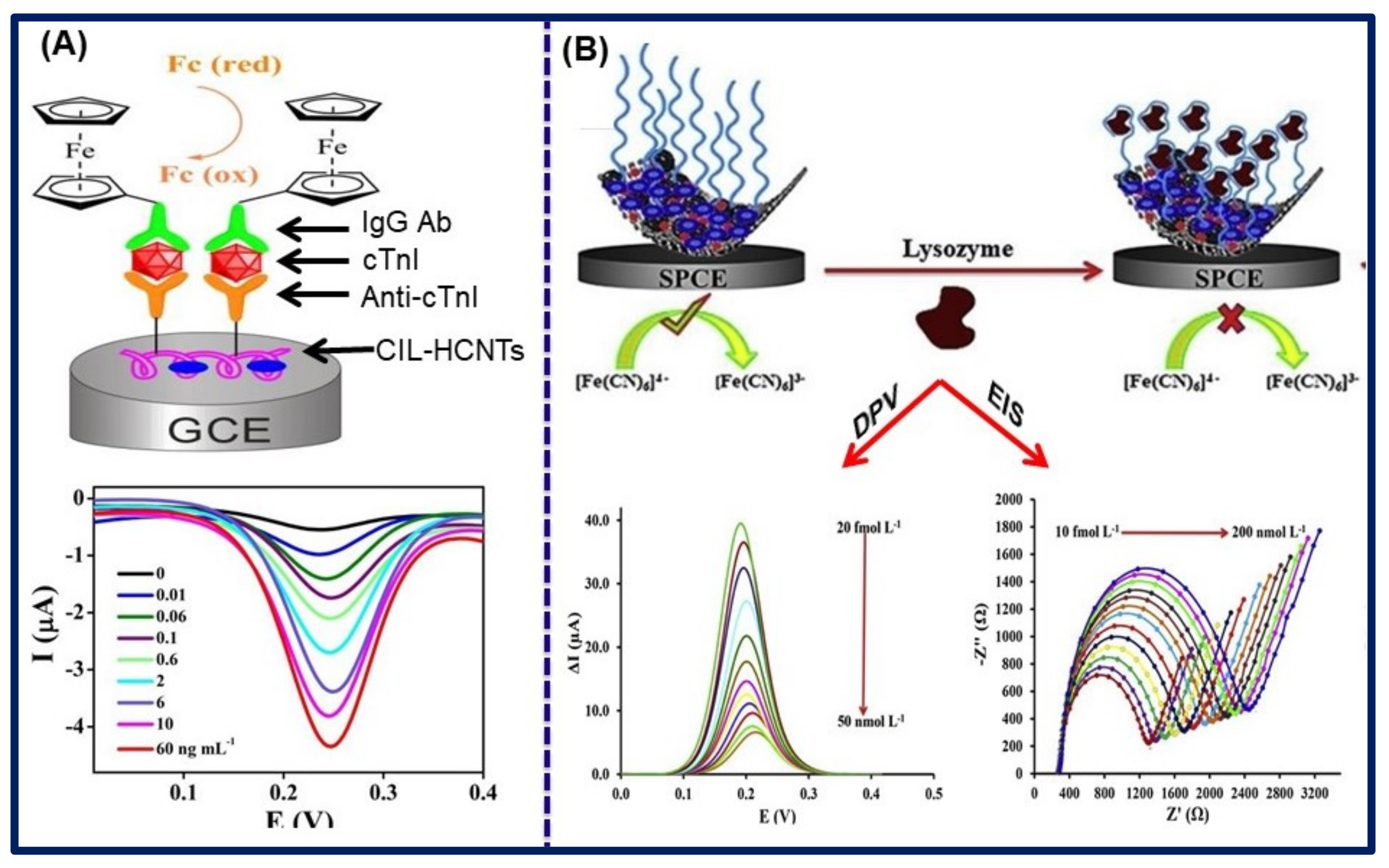 Biosensors 11 00414 g013