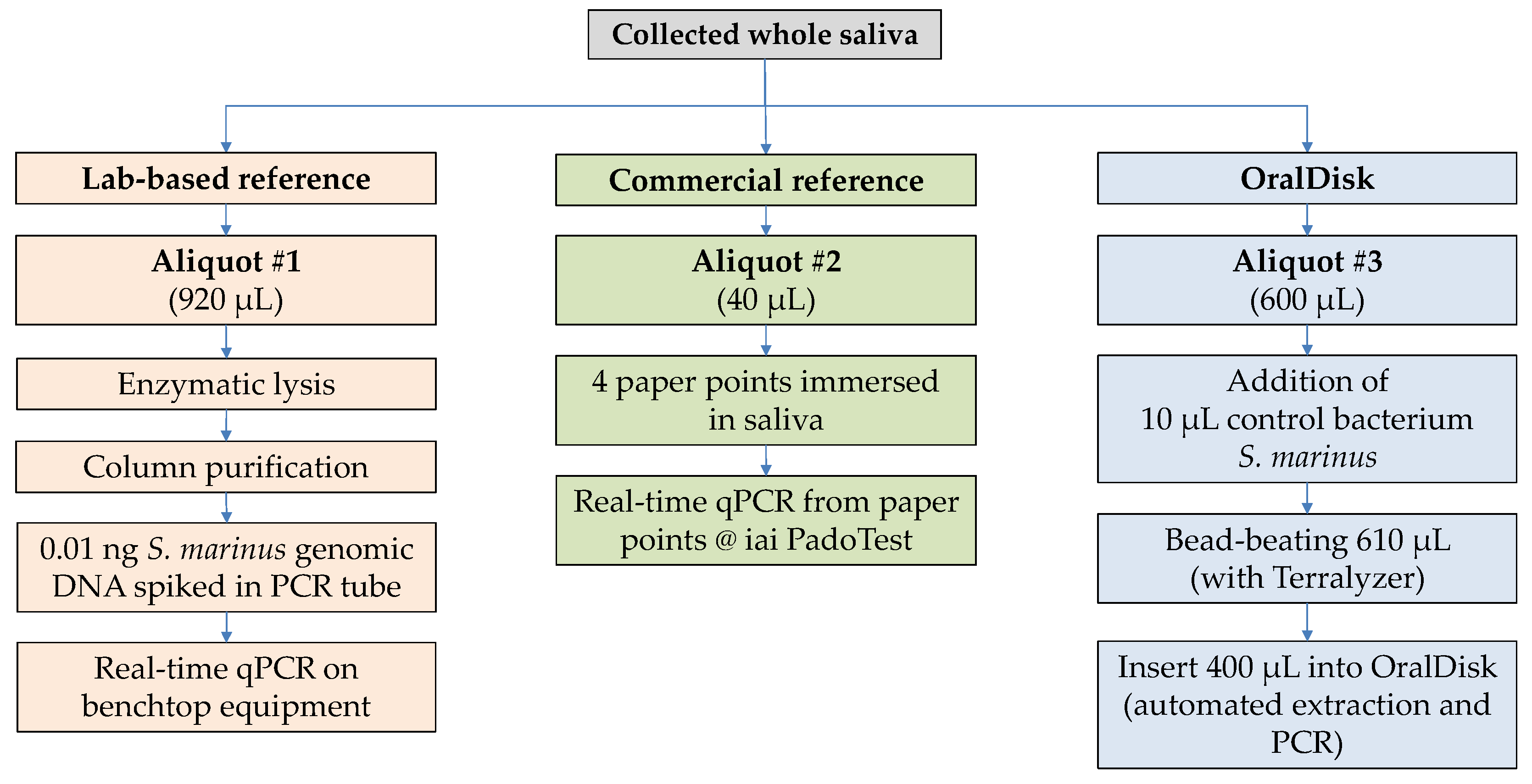 Biosensors 11 00423 g001 550