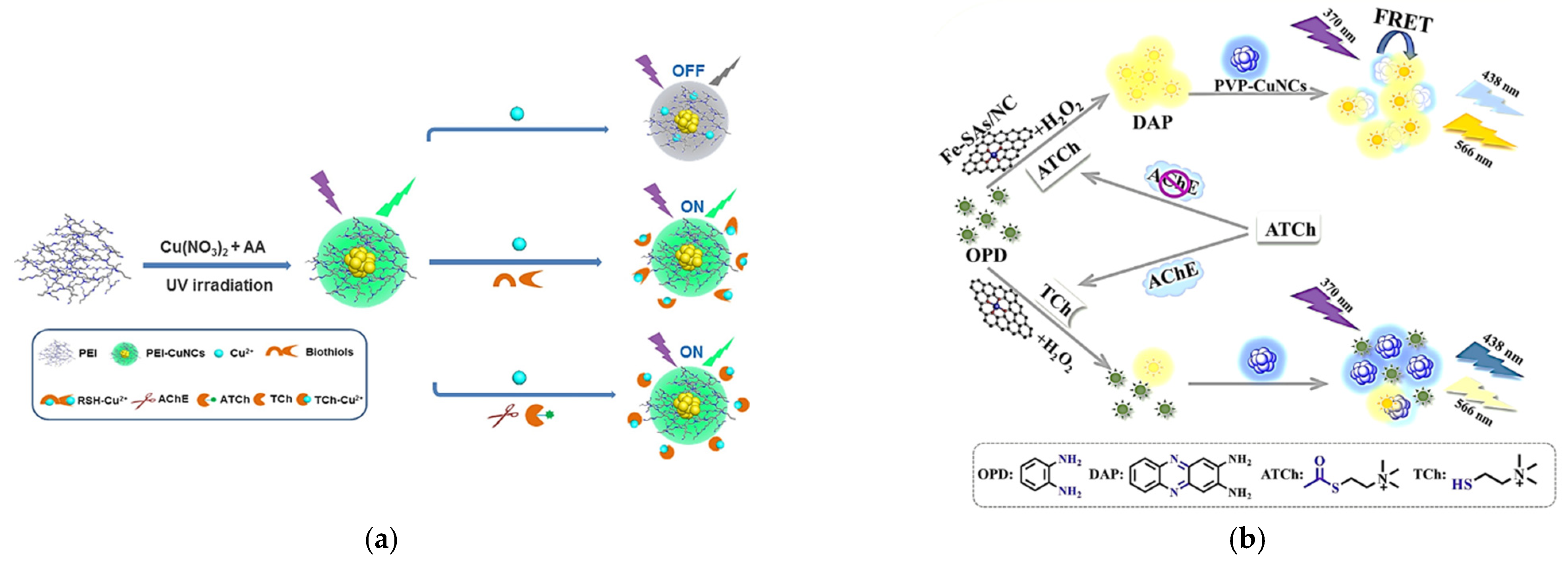 Biosensors 11 00424 g002