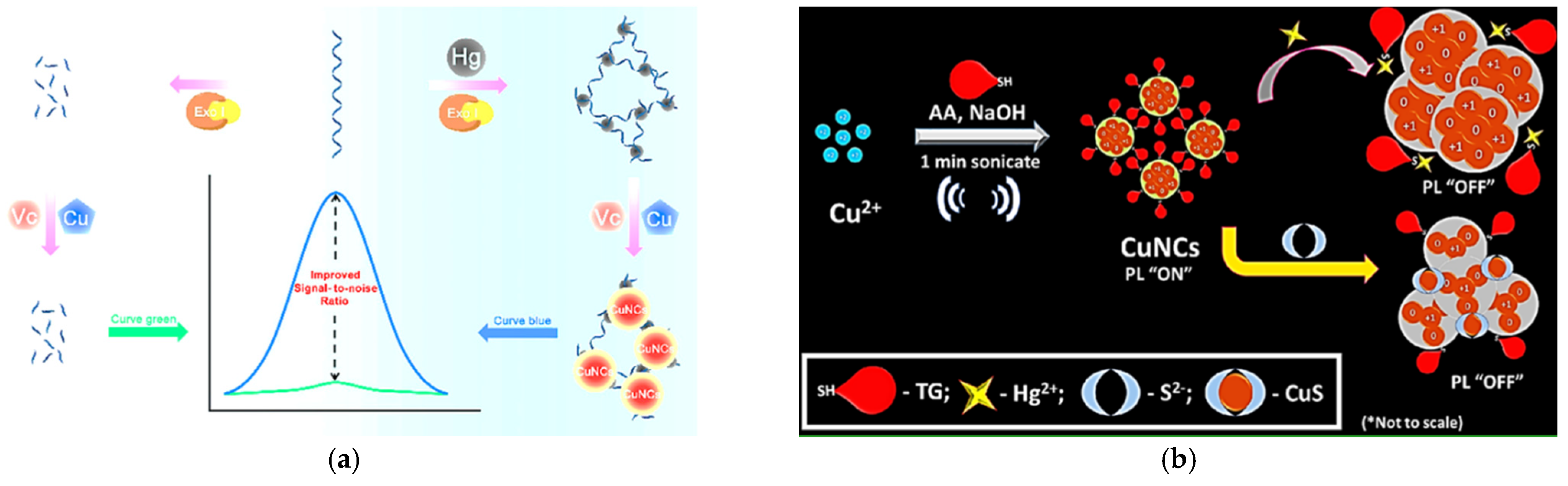 Biosensors 11 00424 g003