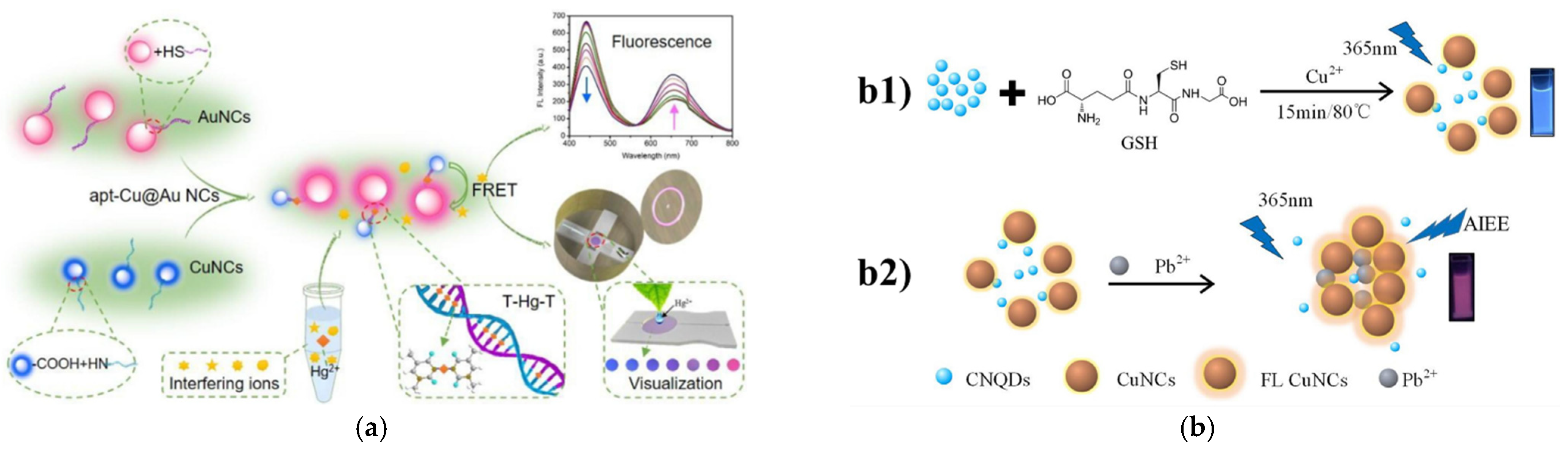 Biosensors 11 00424 g004