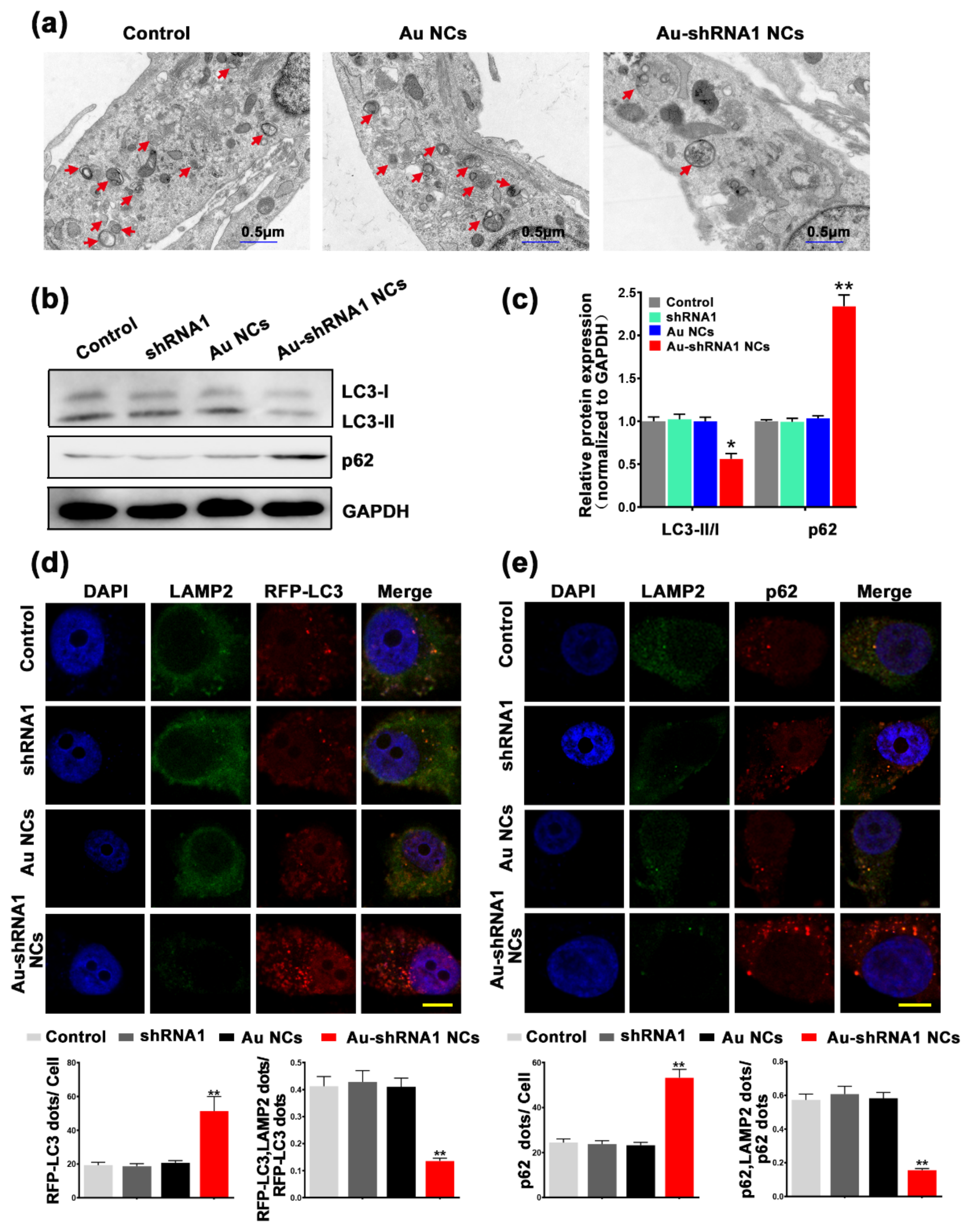 Biosensors 11 00425 g005