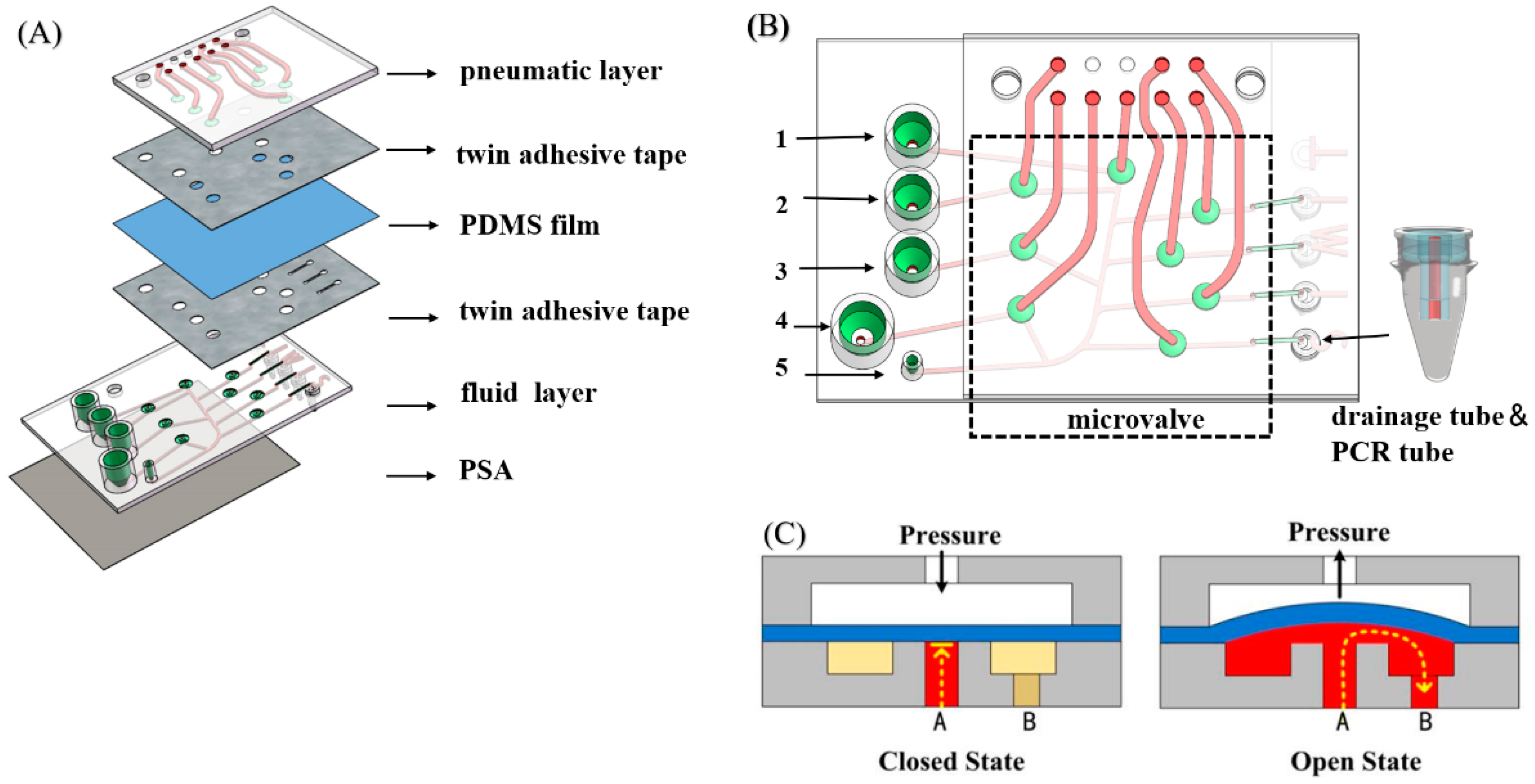 Biosensors 11 00427 g001