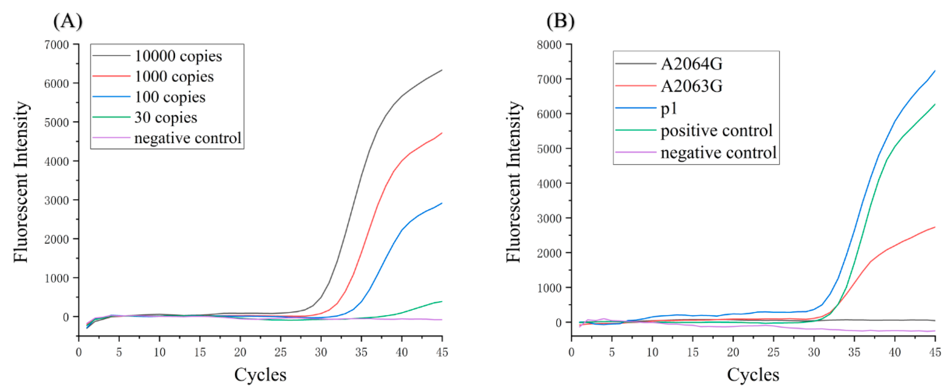 Biosensors 11 00427 g006