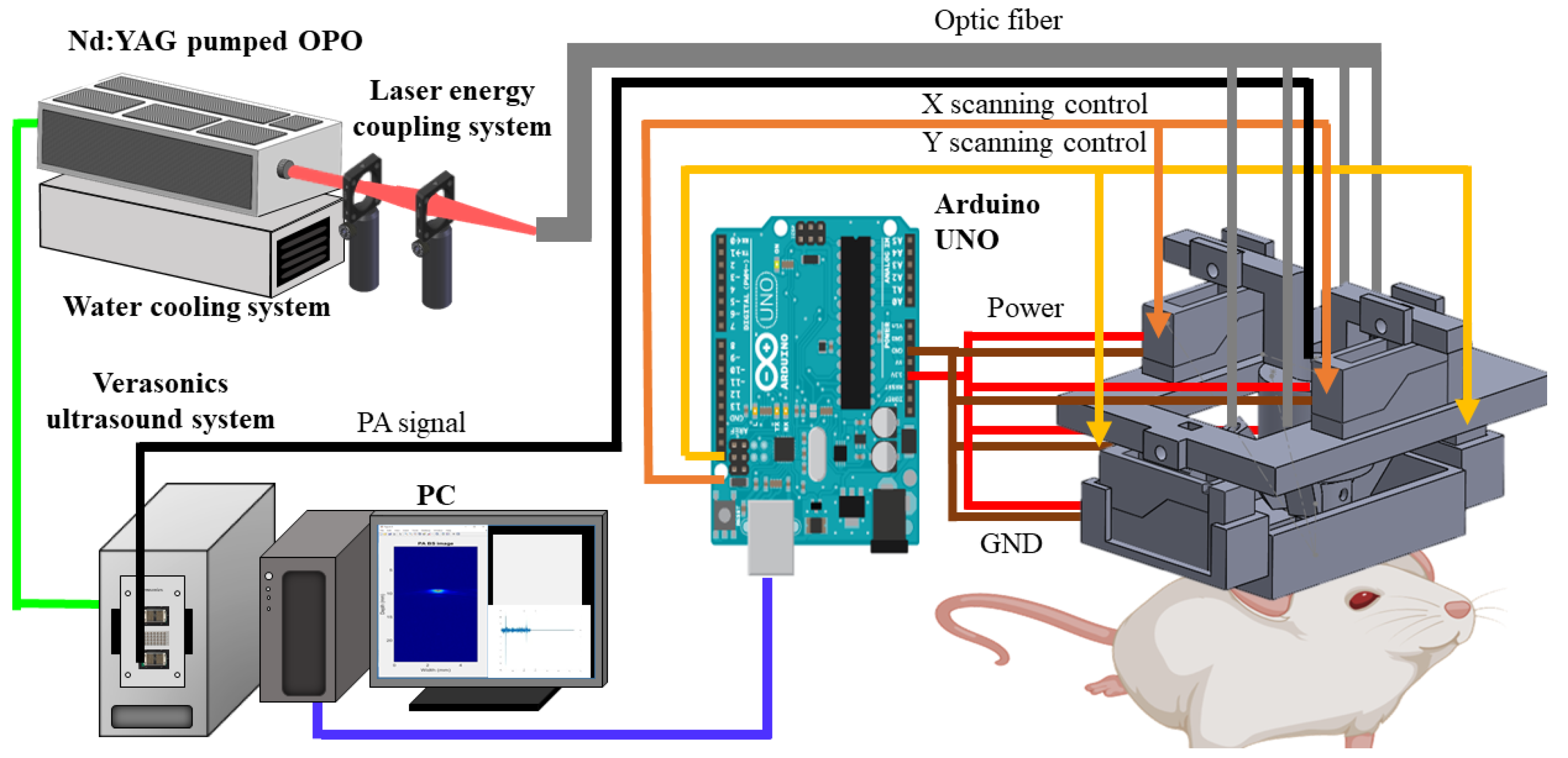 Biosensors 11 00429 g001