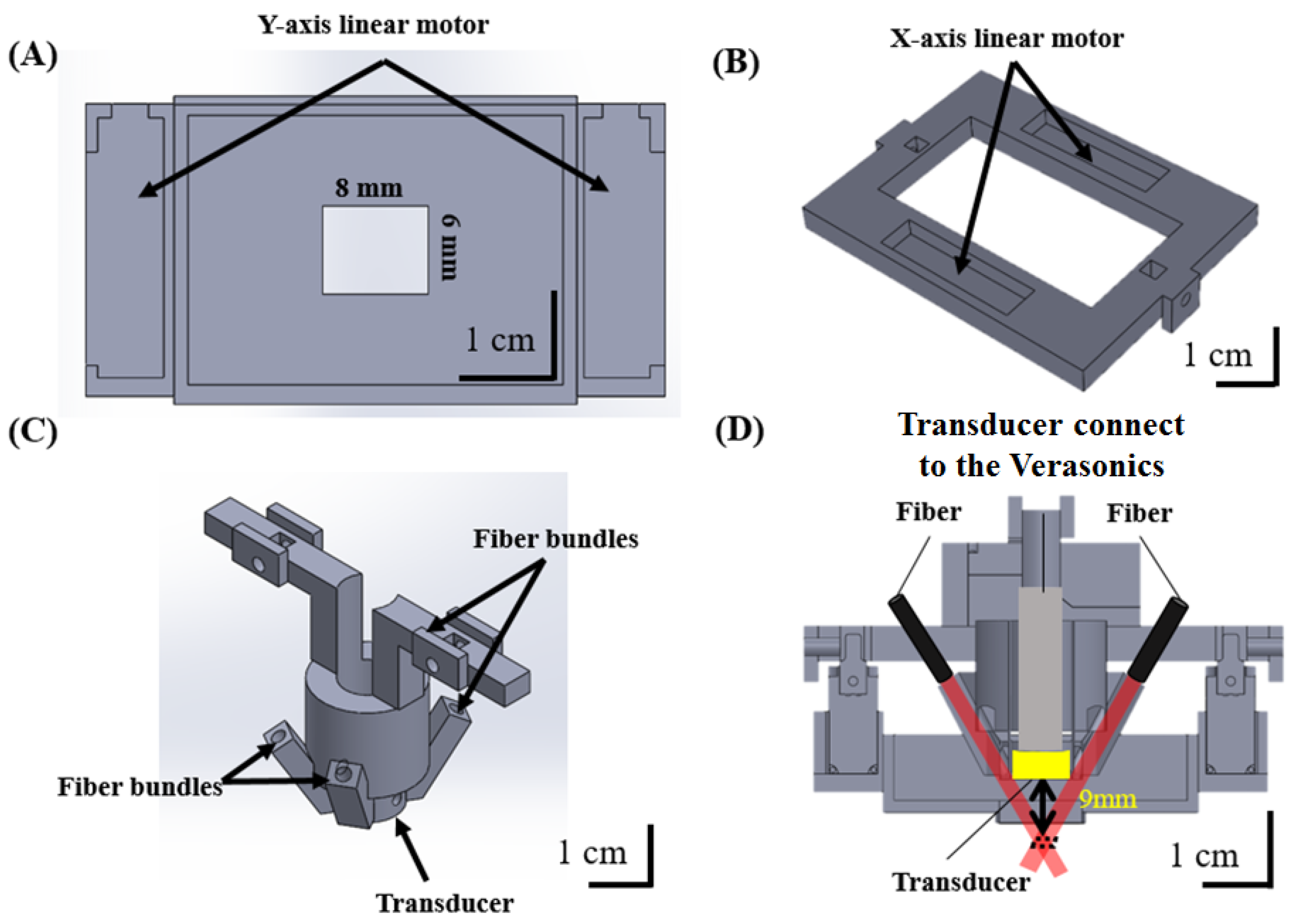 Biosensors 11 00429 g002