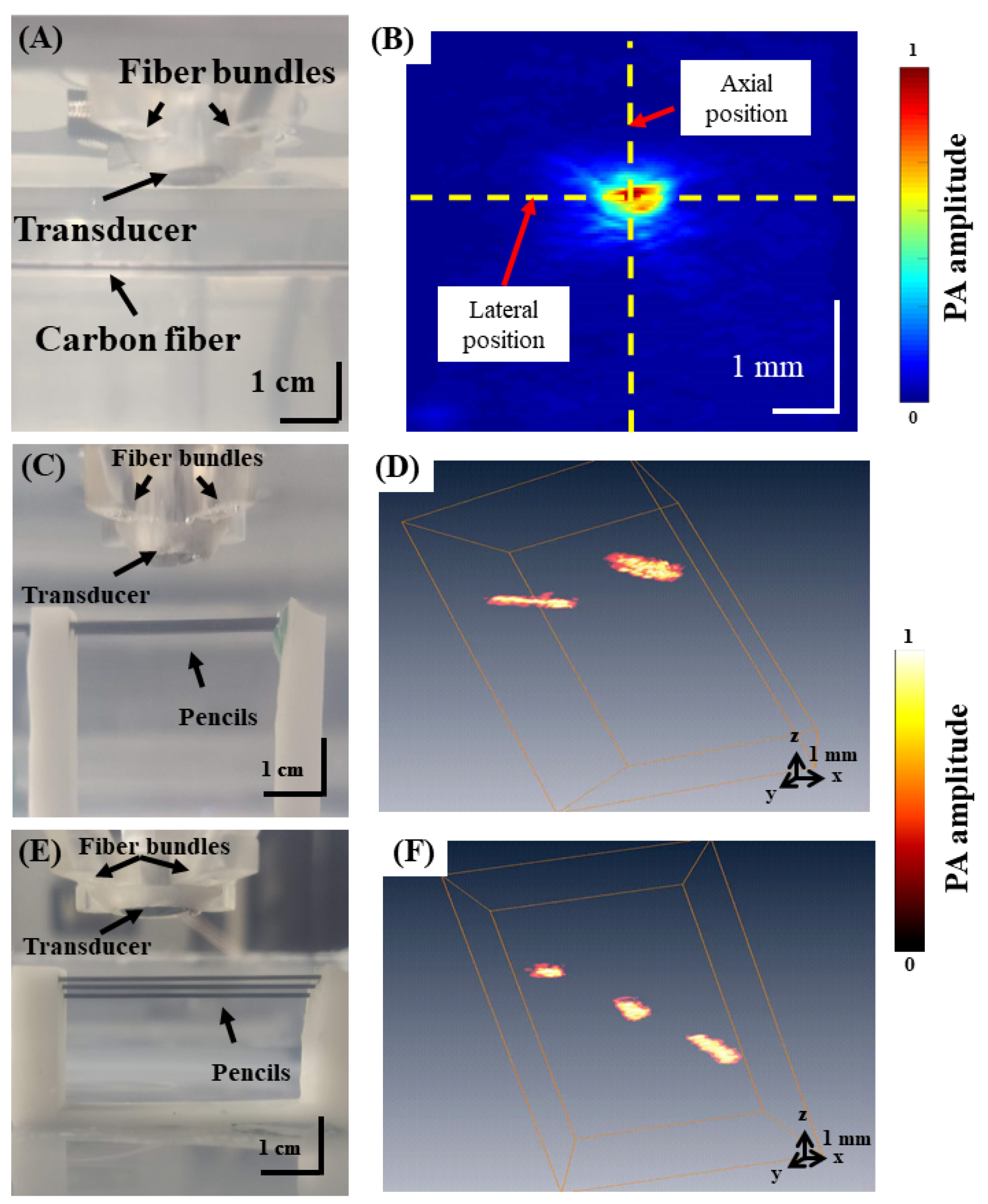 Biosensors 11 00429 g003