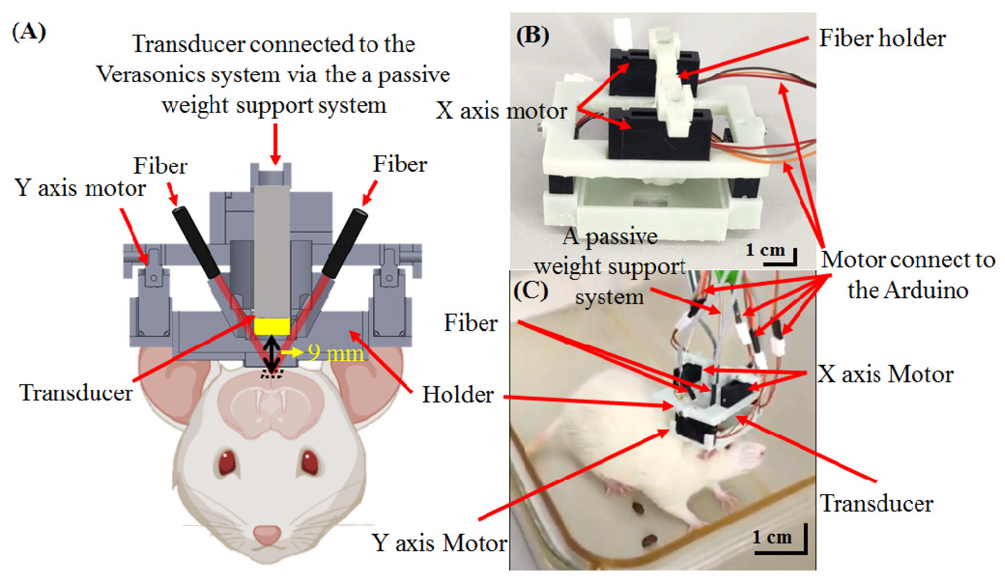 Biosensors 11 00429 g005
