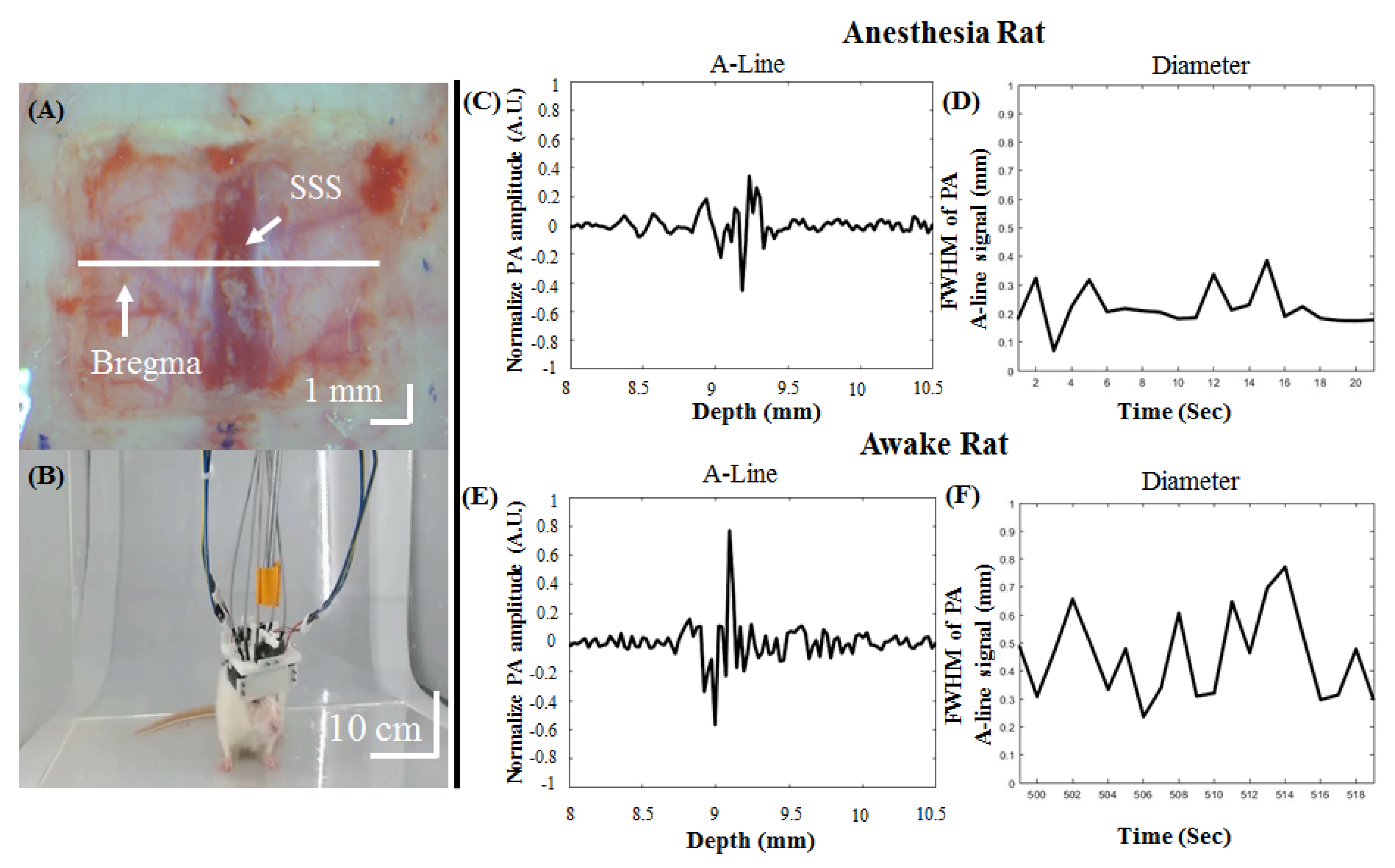 Biosensors 11 00429 g006
