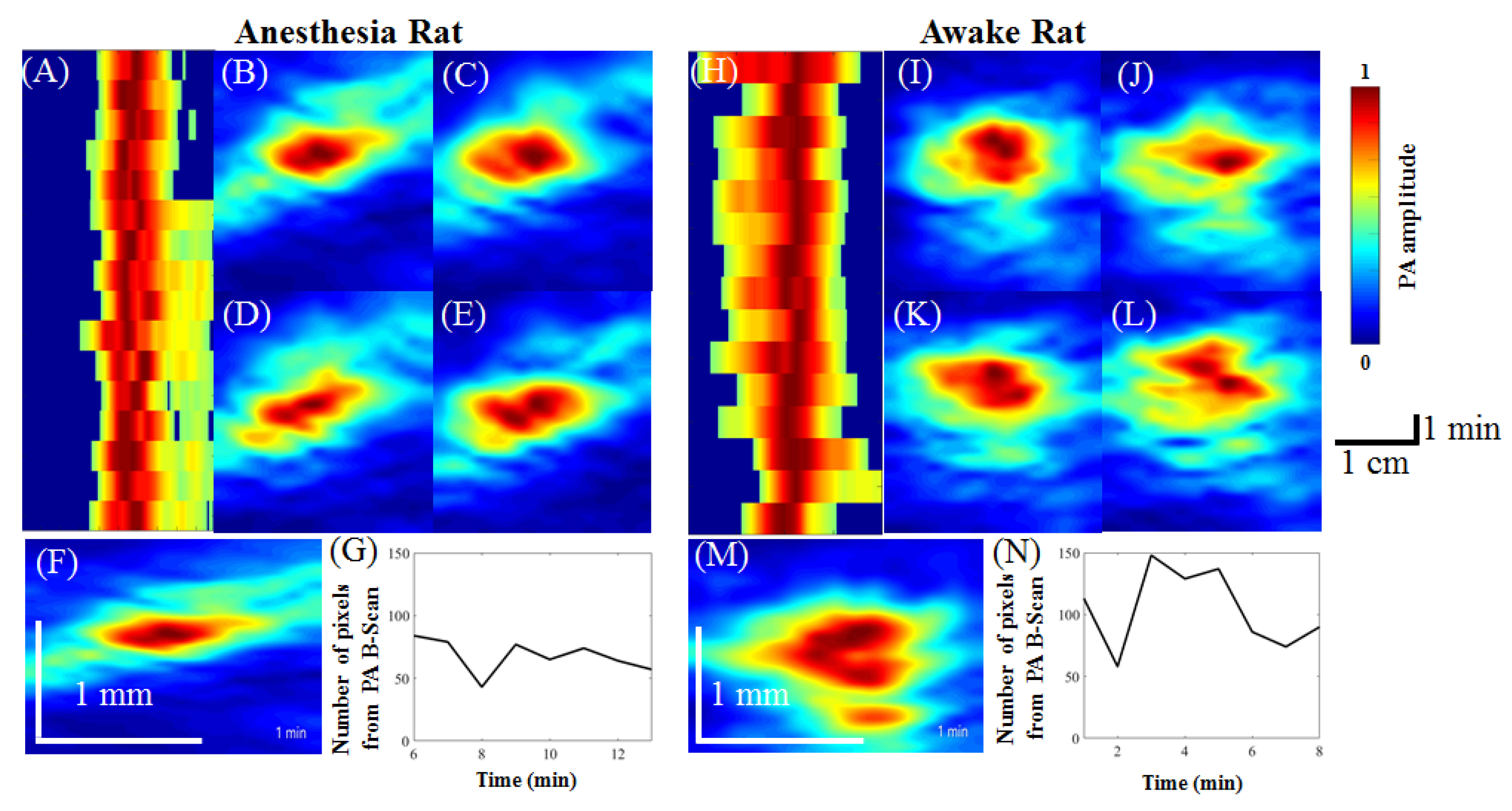 Biosensors 11 00429 g008