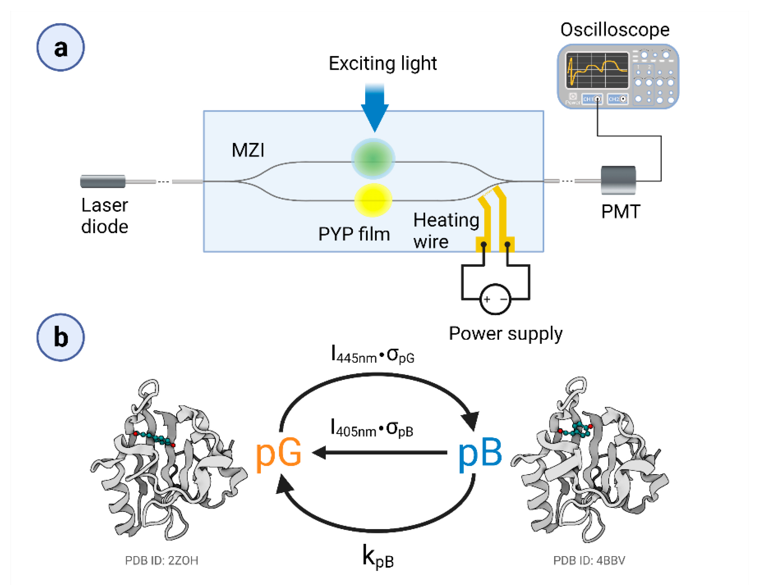 Biosensors 11 00432 g001